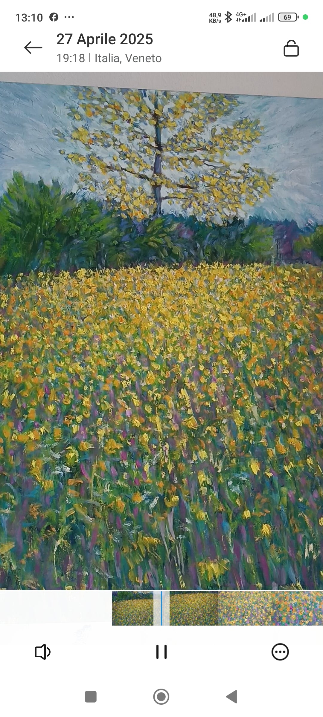 Prato in fiore