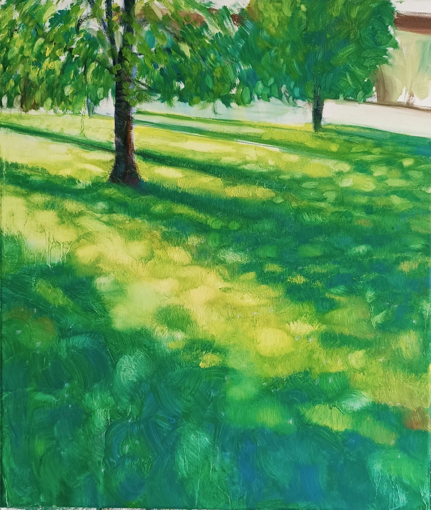Luce che cammina sul prato