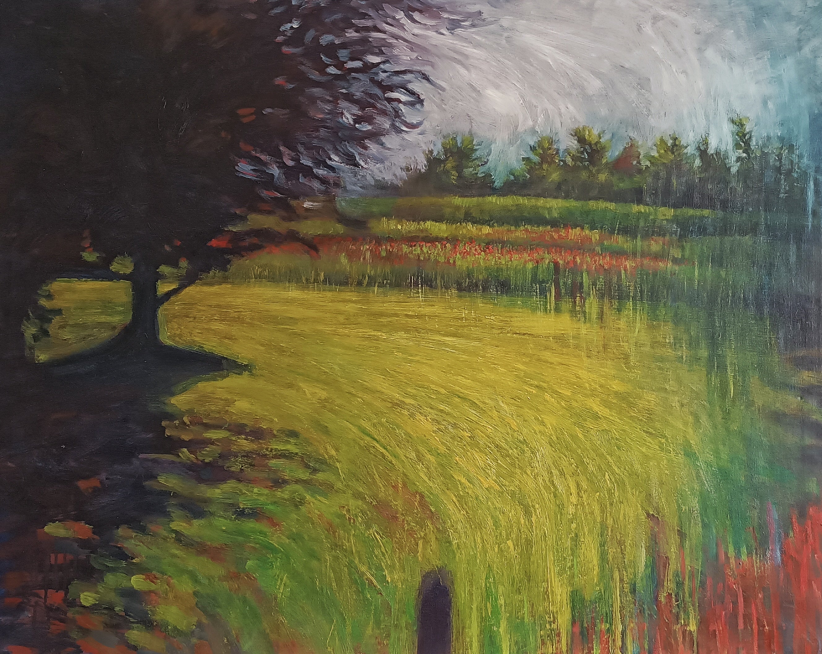 Canzone di un campo a giugno