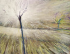 Solo luce esiste