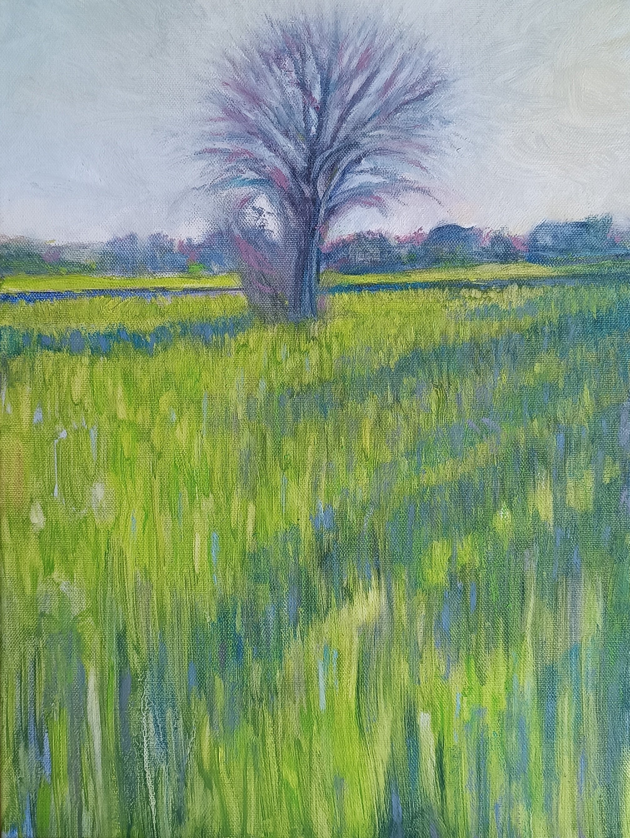 Campo di grano con albero