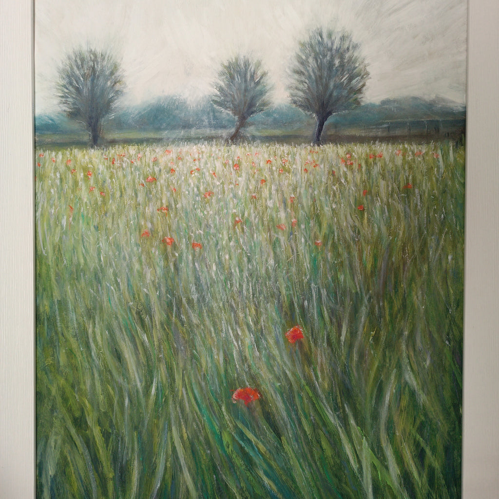 Campo di grano a maggio