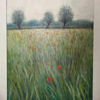 Campo di grano a maggio