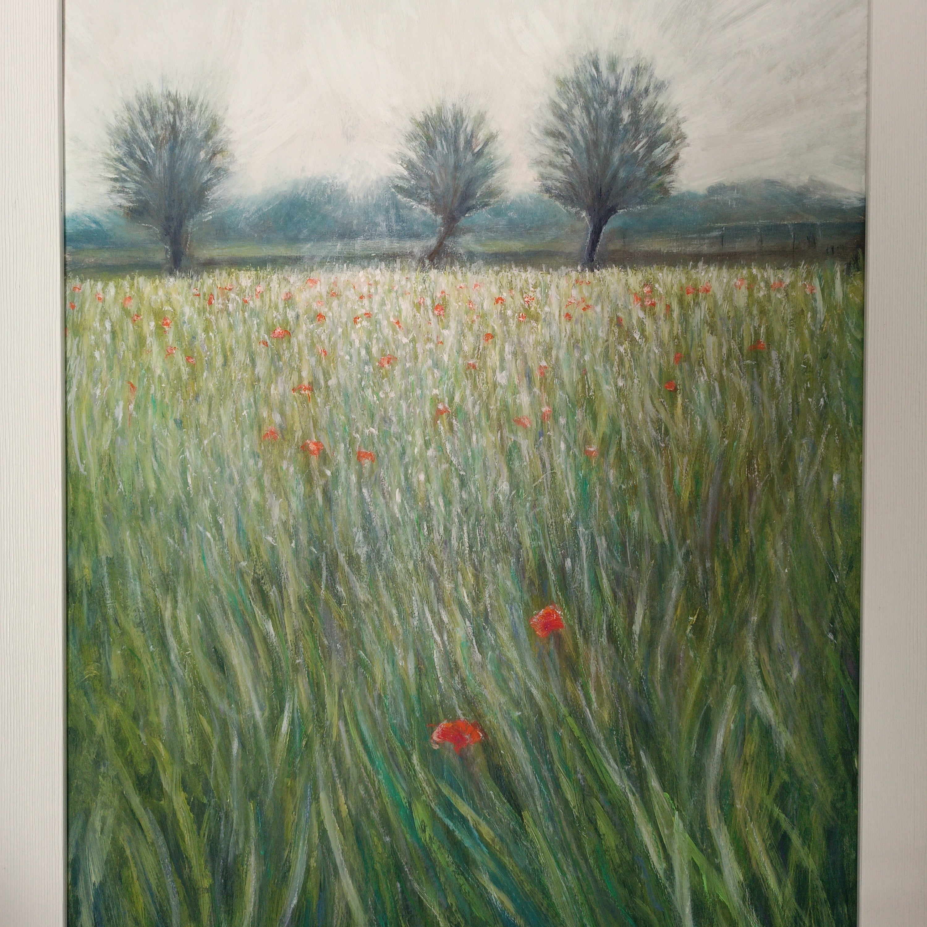 Campo di grano a maggio