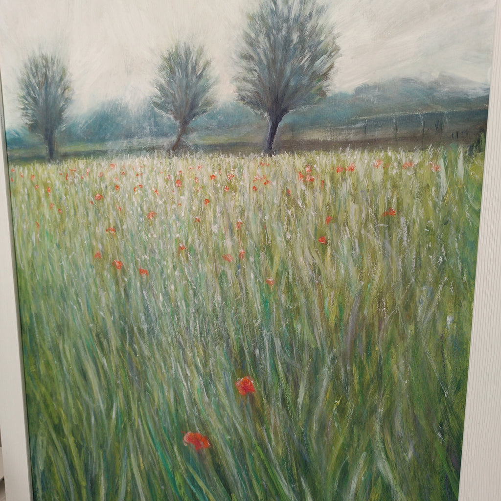 Campo di grano a maggio