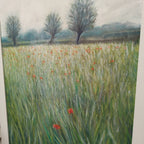 Campo di grano a maggio