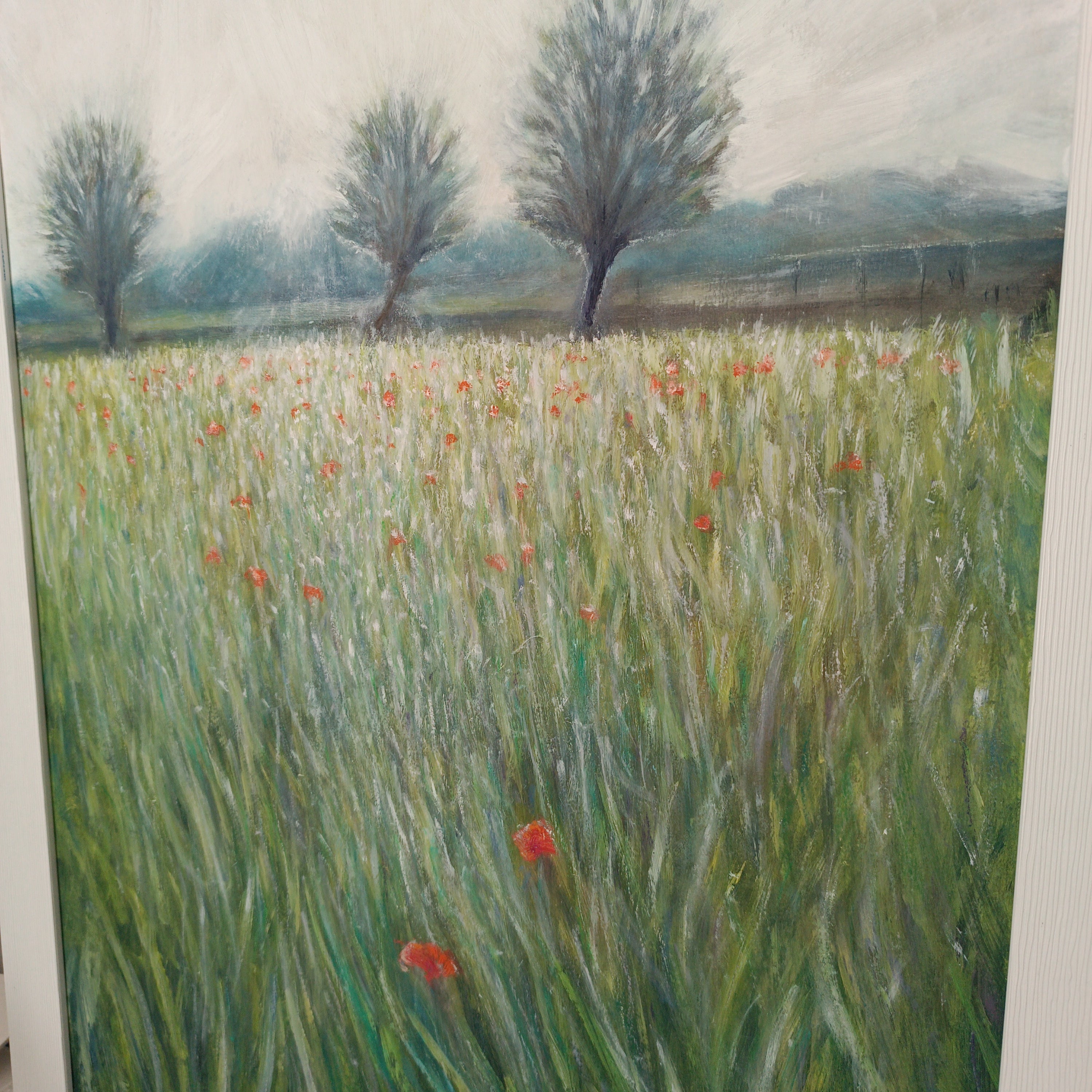 Campo di grano a maggio