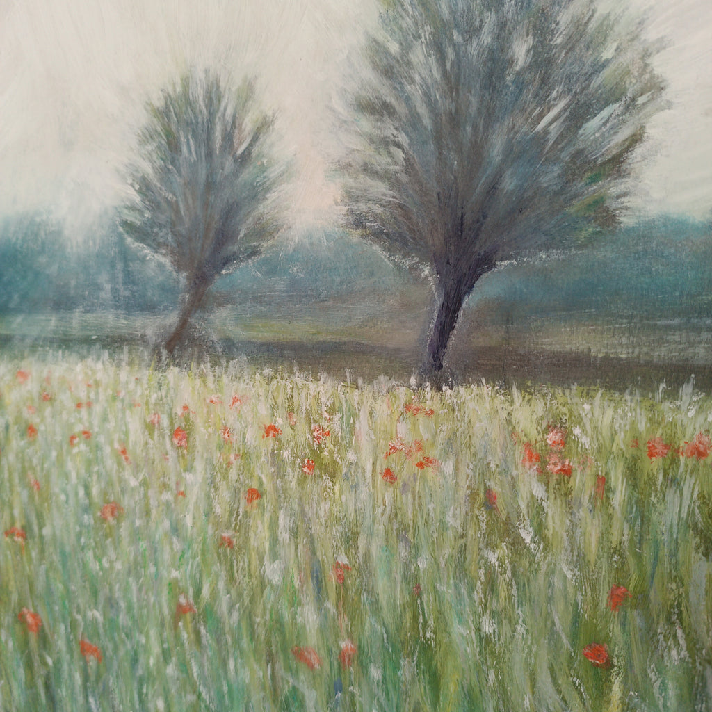 Campo di grano a maggio