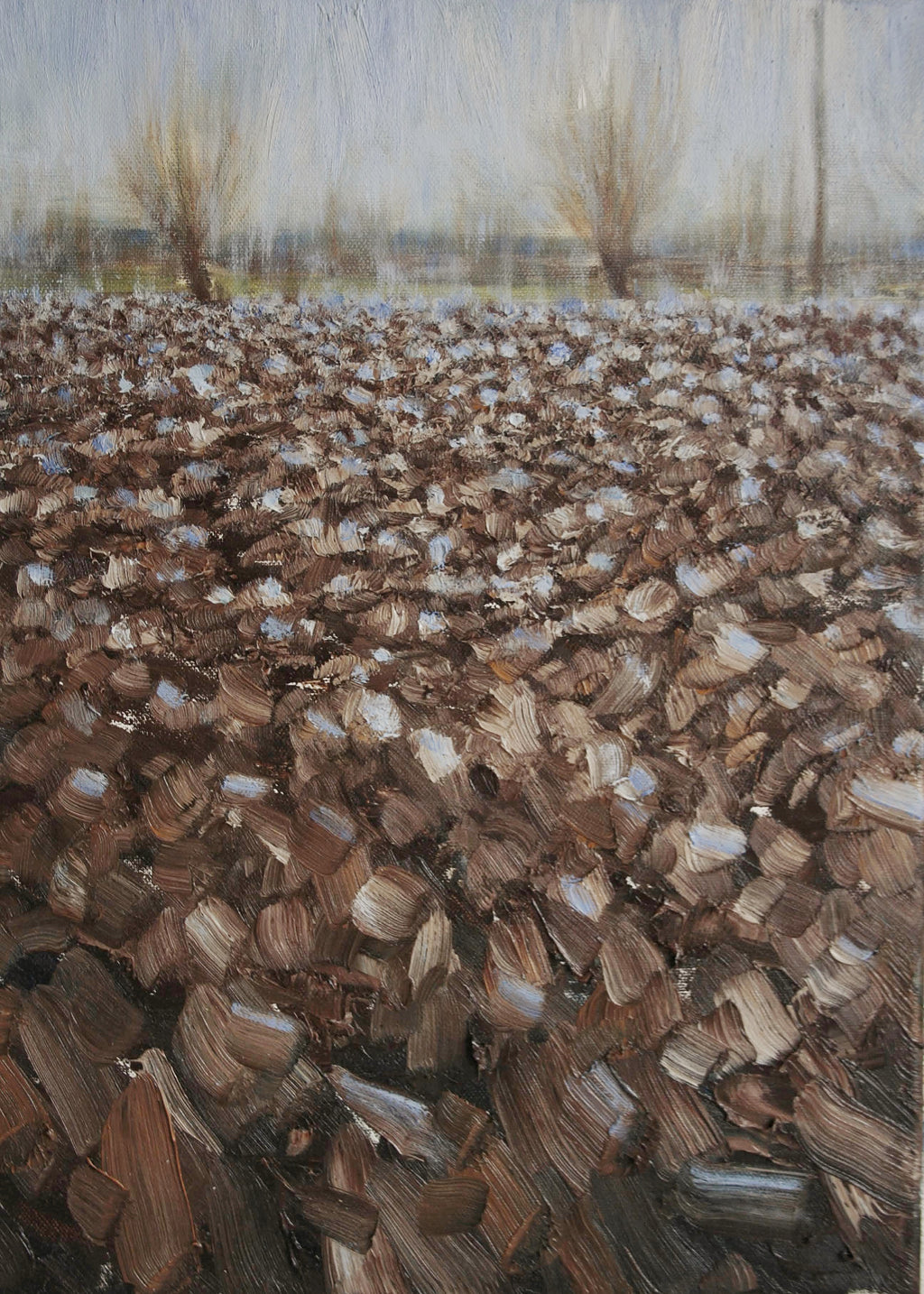 Il cielo sulla terra