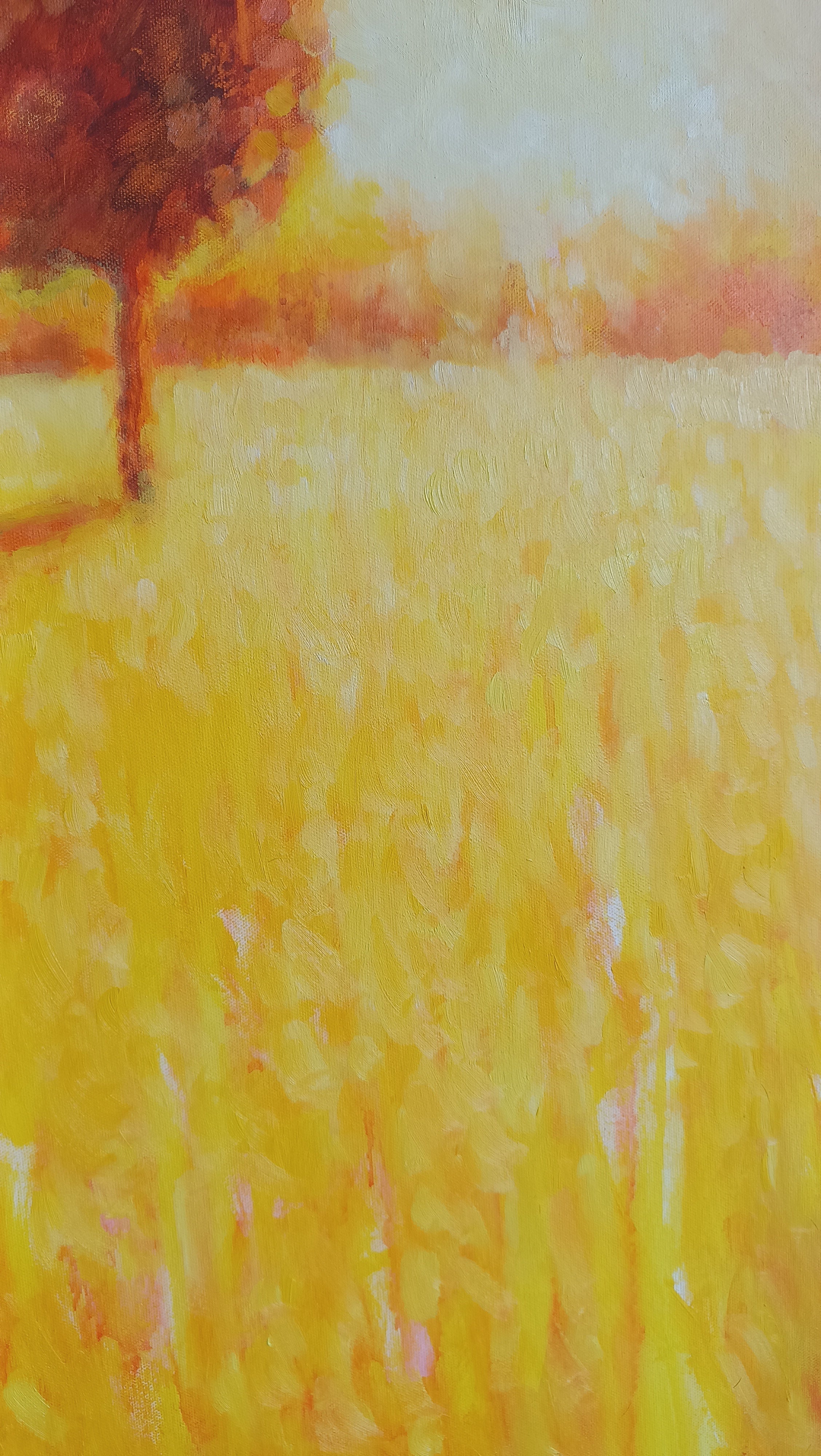 Solo luce esiste, accordi in giallo