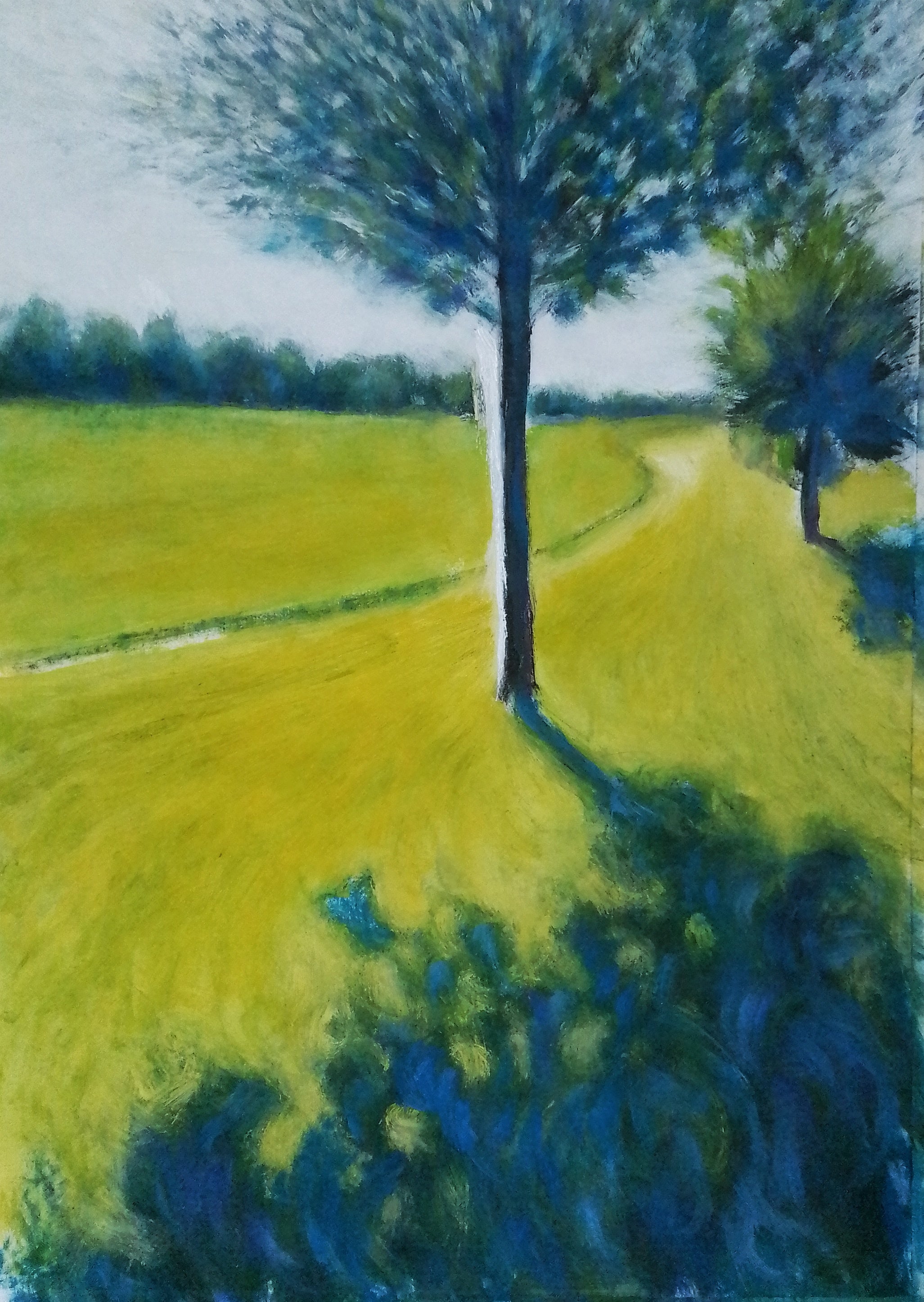 Controluce, paesaggio di maggio MauroTrolese