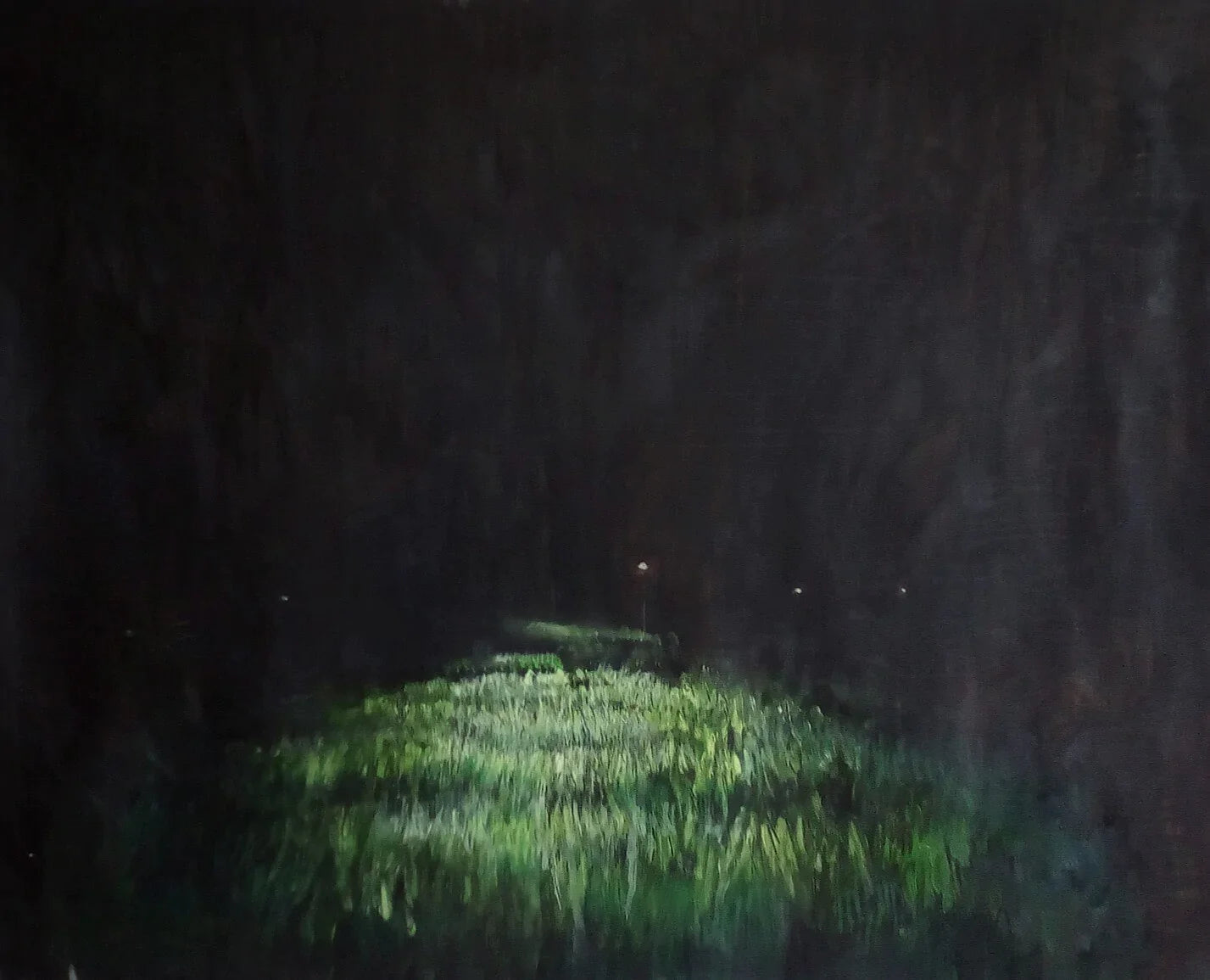 Fari nella notte MauroTrolese