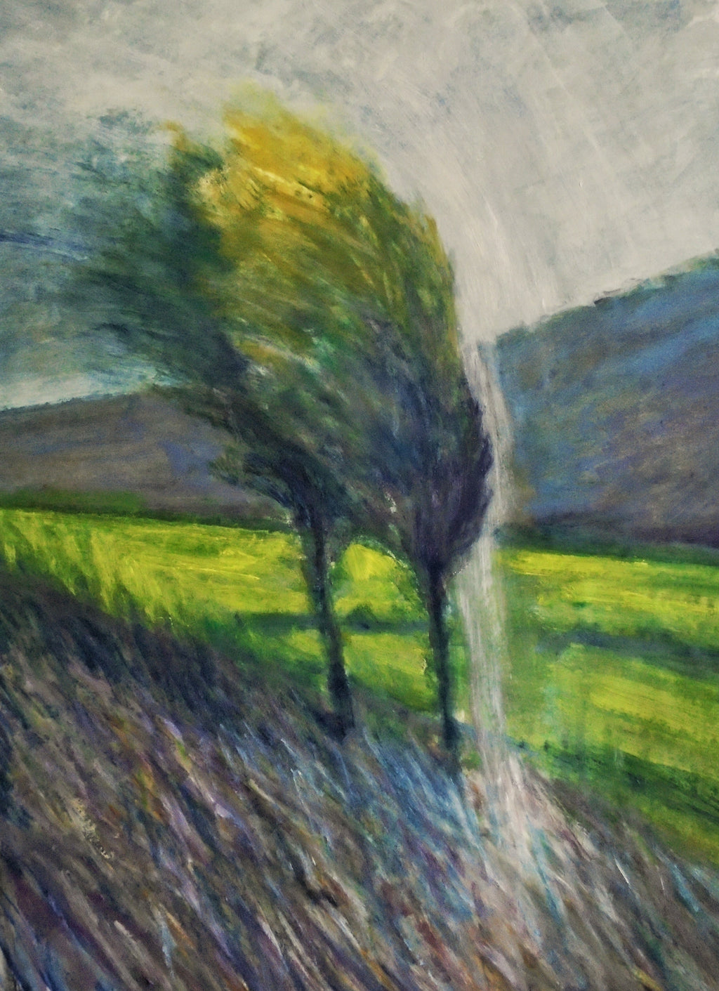 Giornata di vento MauroTrolese