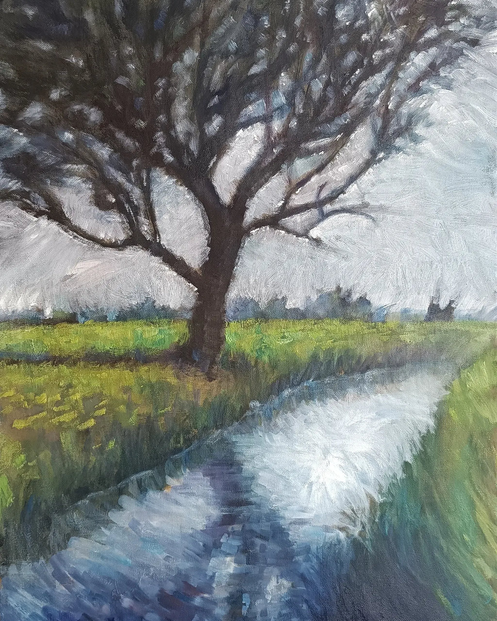 Grande quercia, la luce appesa ai rami