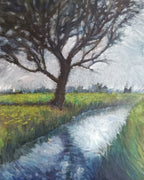 Grande quercia, luce appesa ai rami