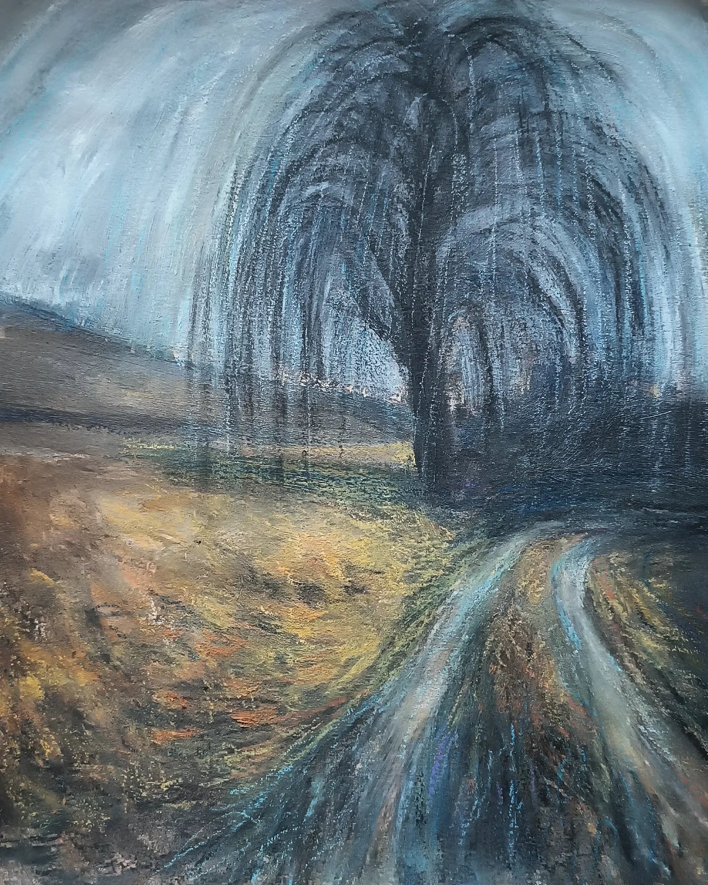 Salice piangente d' inverno