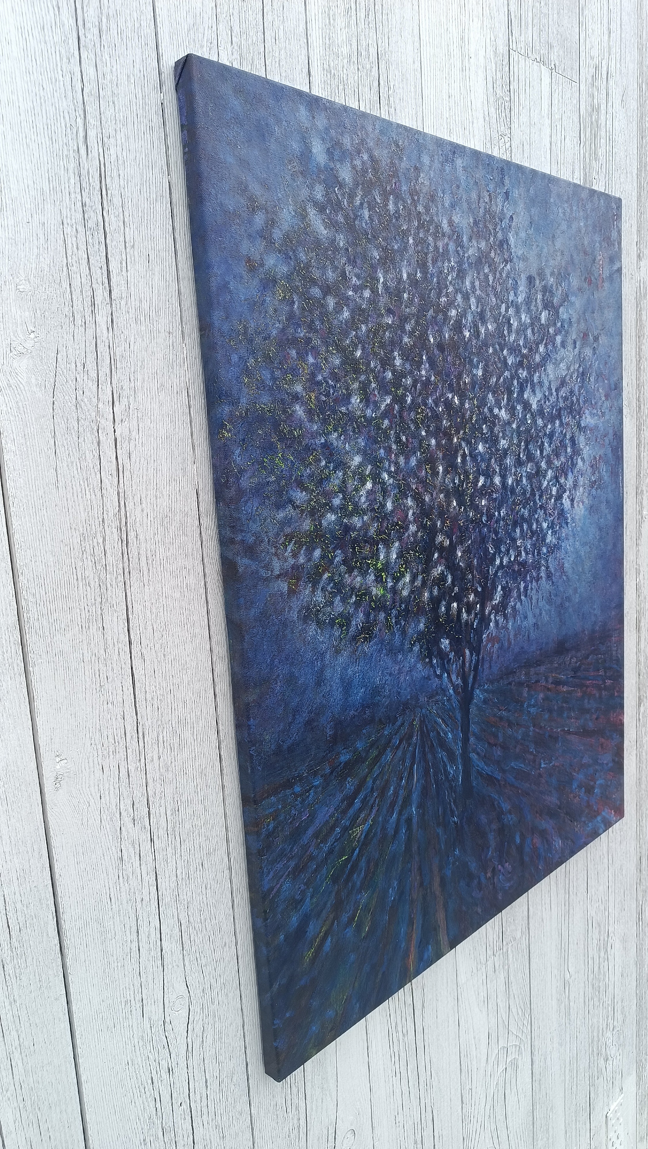 Notturno (luce appesa ai rami)