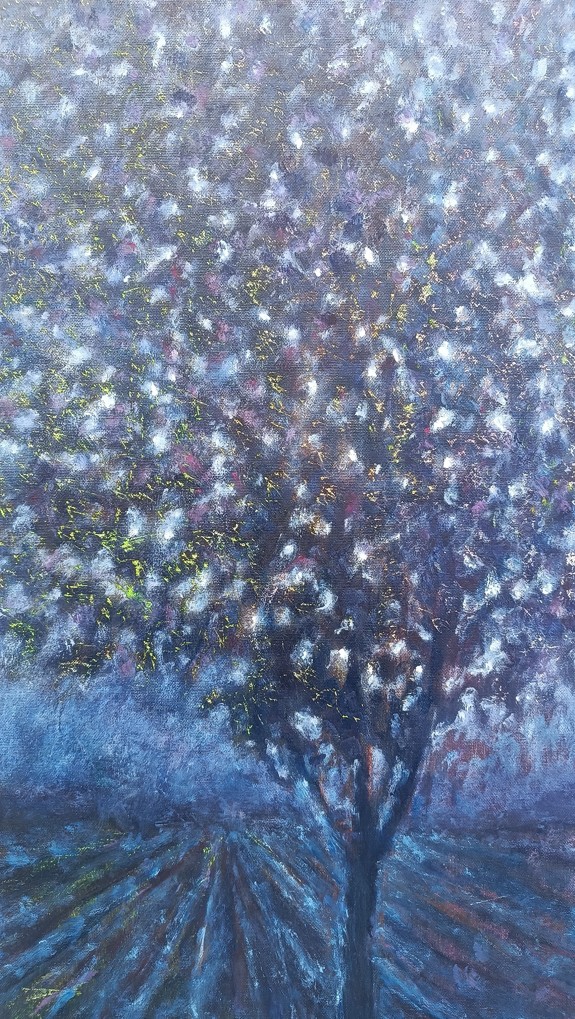 Notturno (luce appesa ai rami)