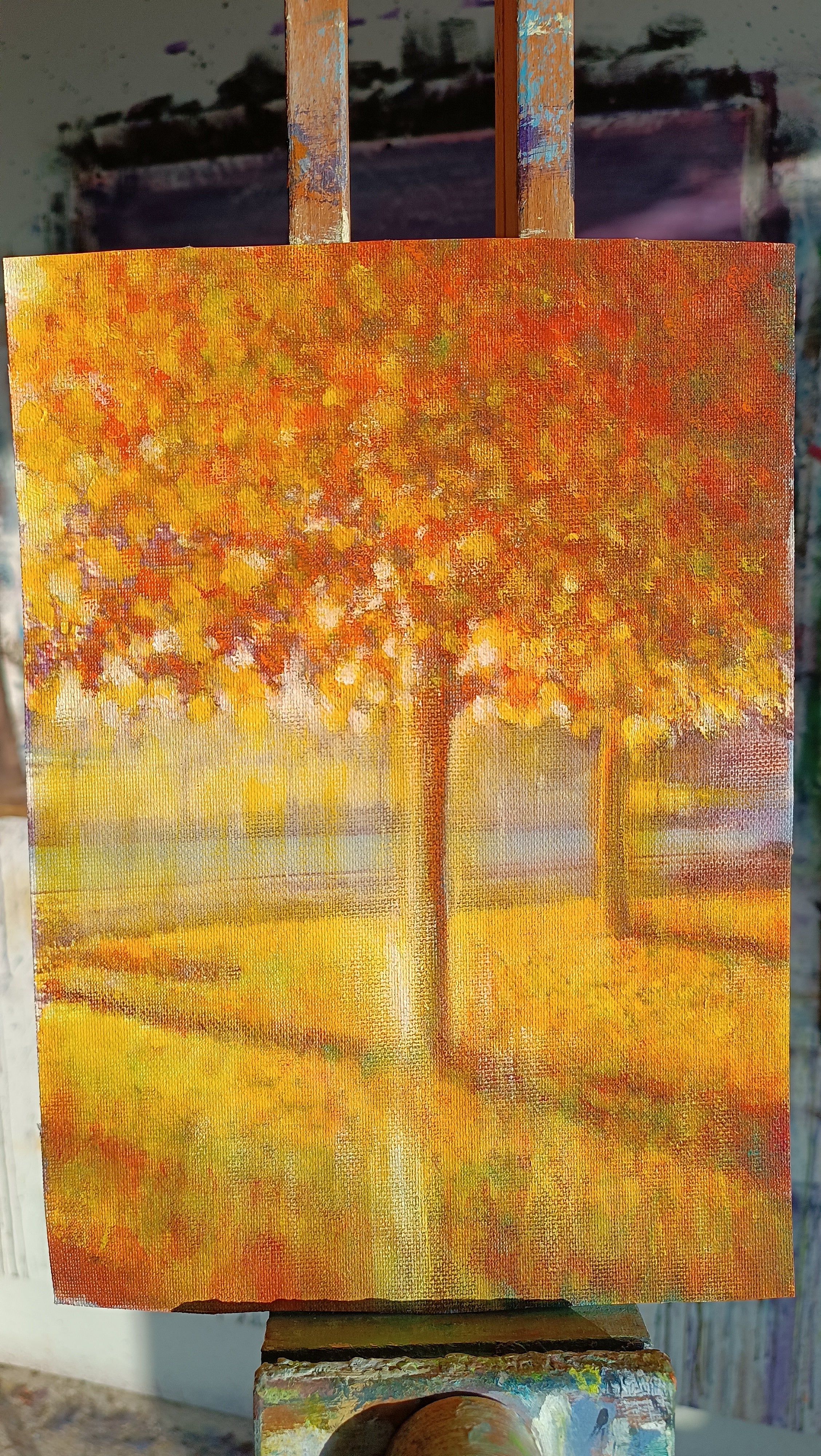 Autunno (l' albero di luce)