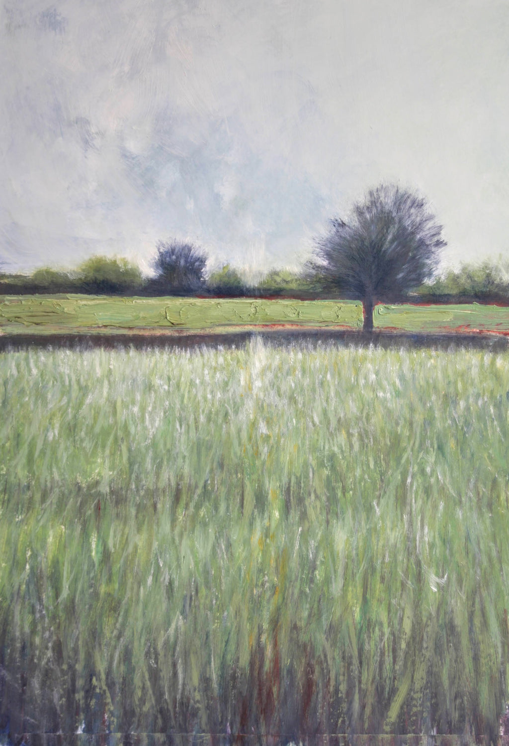 Il sentiero segreto MauroTrolese