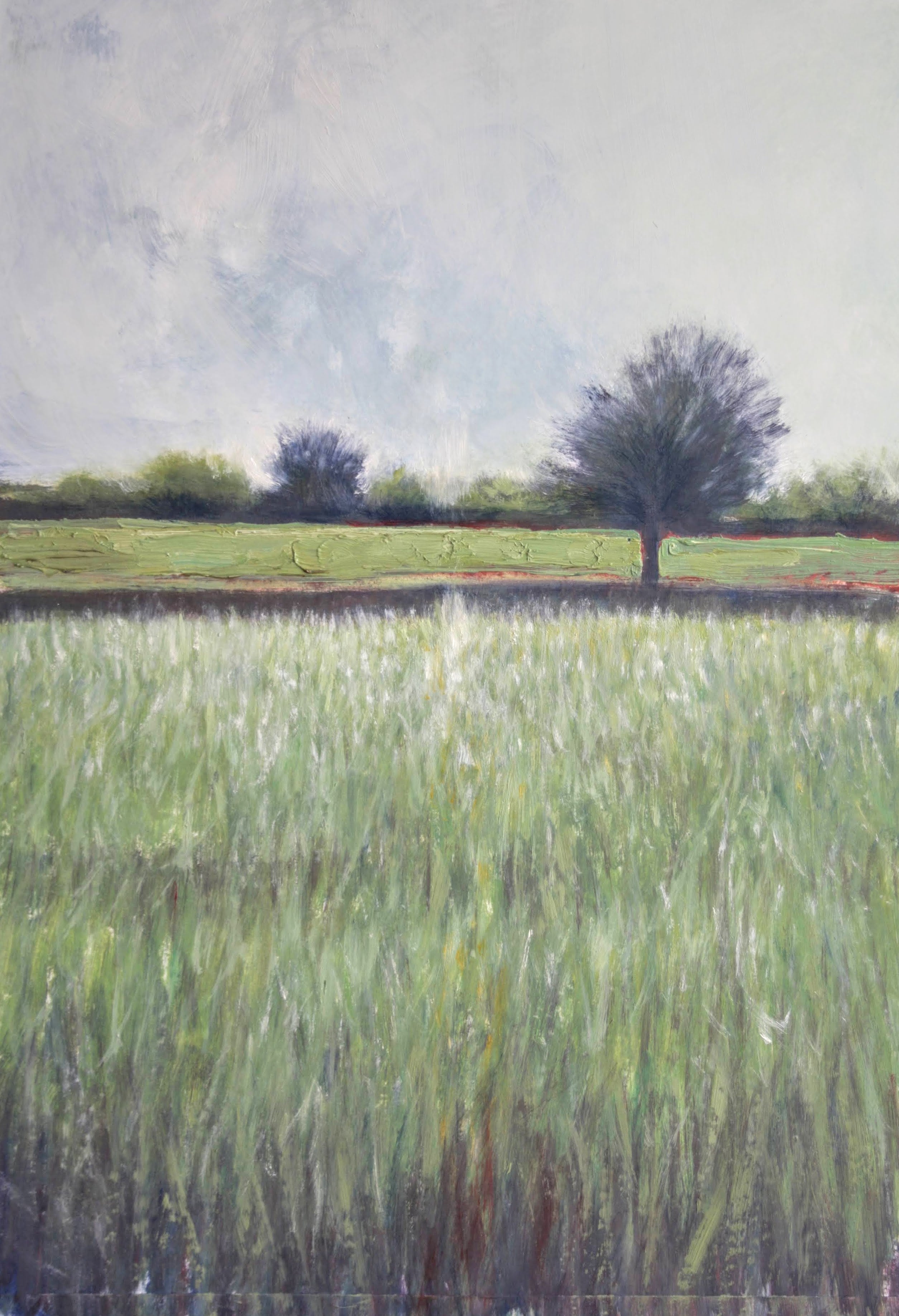 Il sentiero segreto MauroTrolese