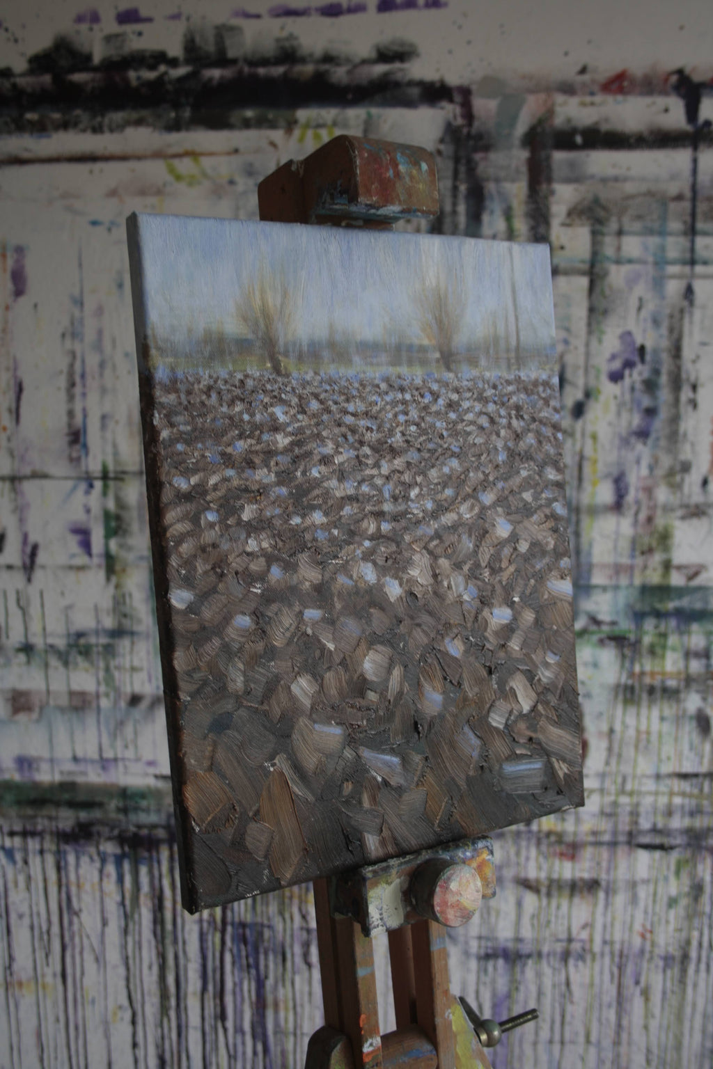 Il cielo sulla terra