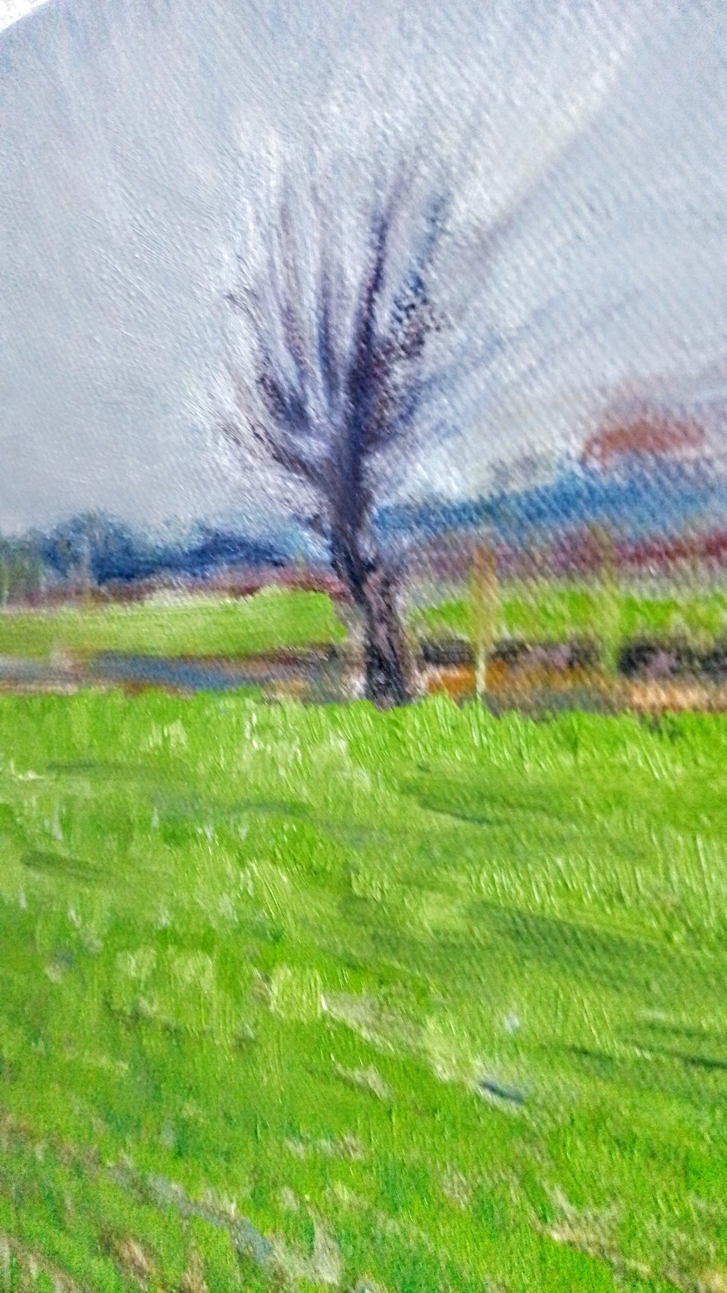 Paesaggio invernale MauroTrolese