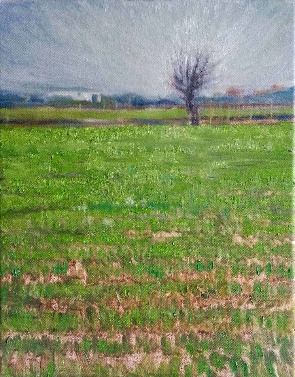 Paesaggio invernale MauroTrolese