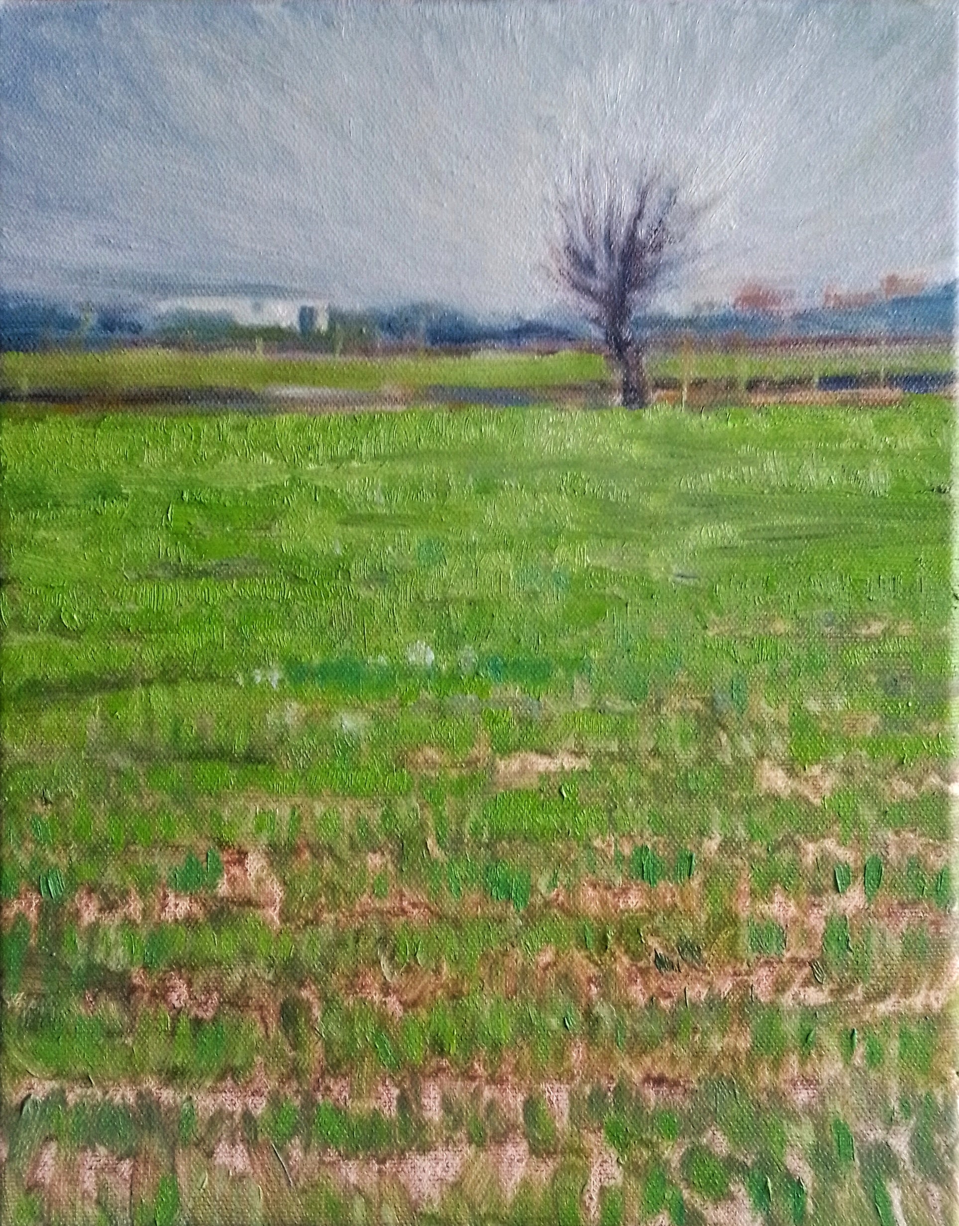 Paesaggio invernale MauroTrolese