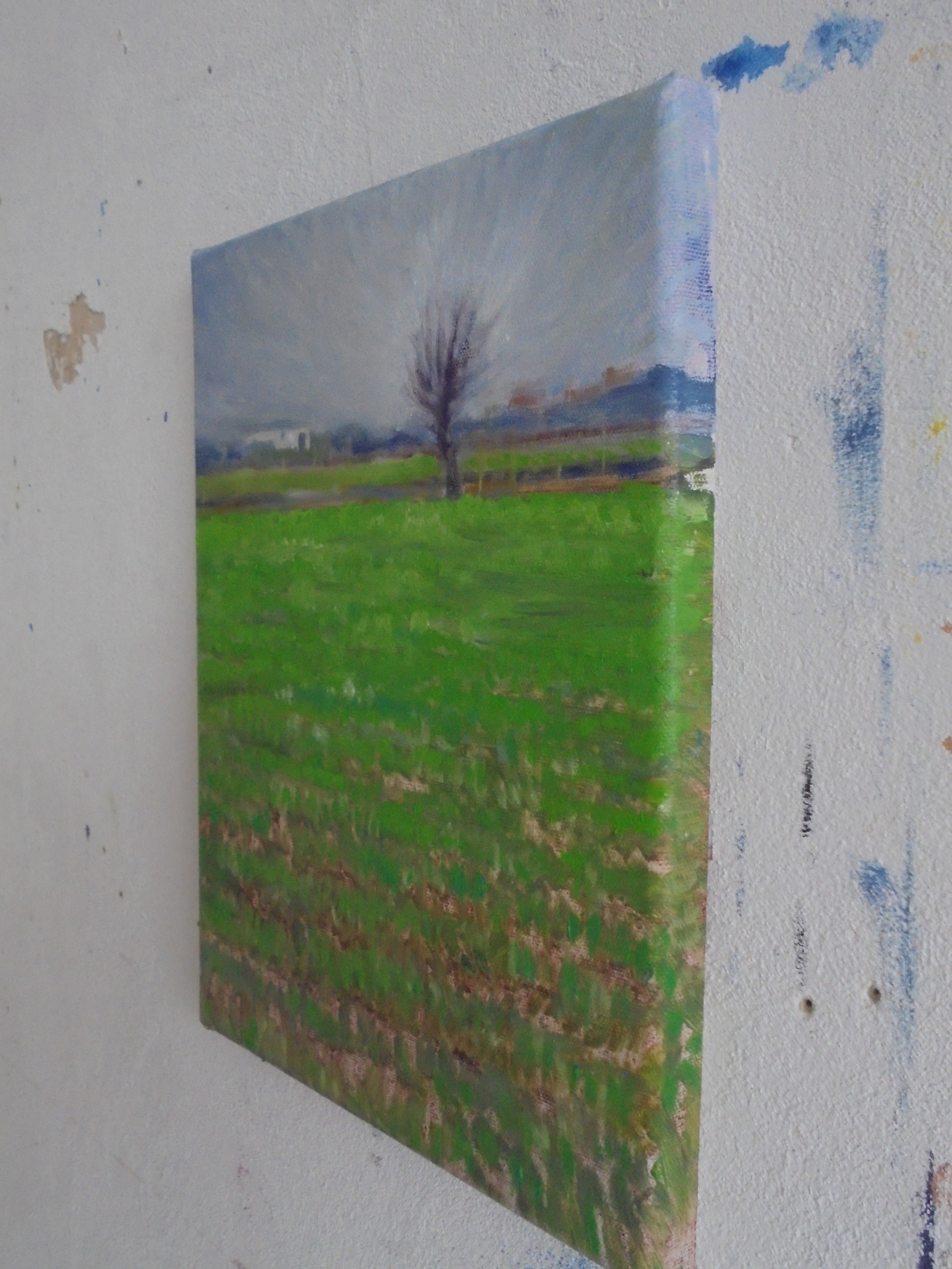 Paesaggio invernale MauroTrolese