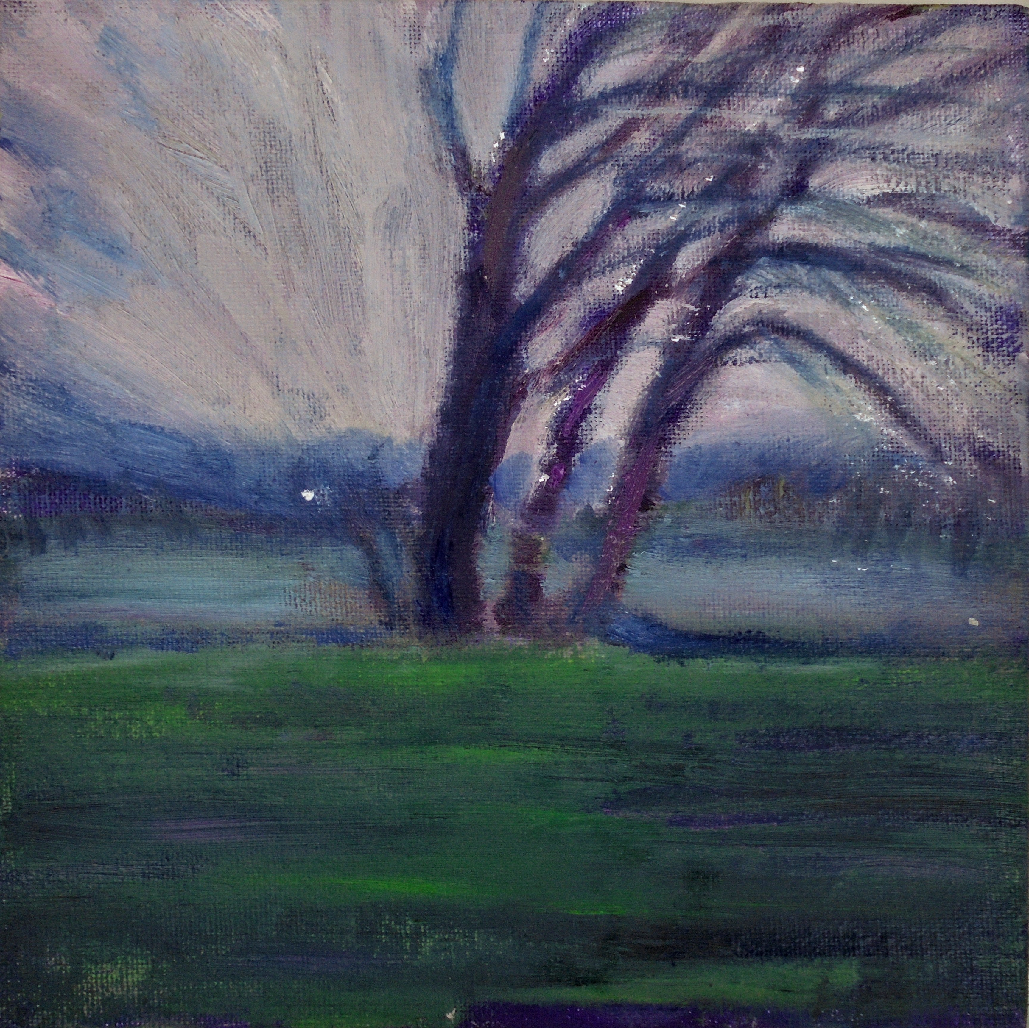 Piccola luce all' orizzonte MauroTrolese