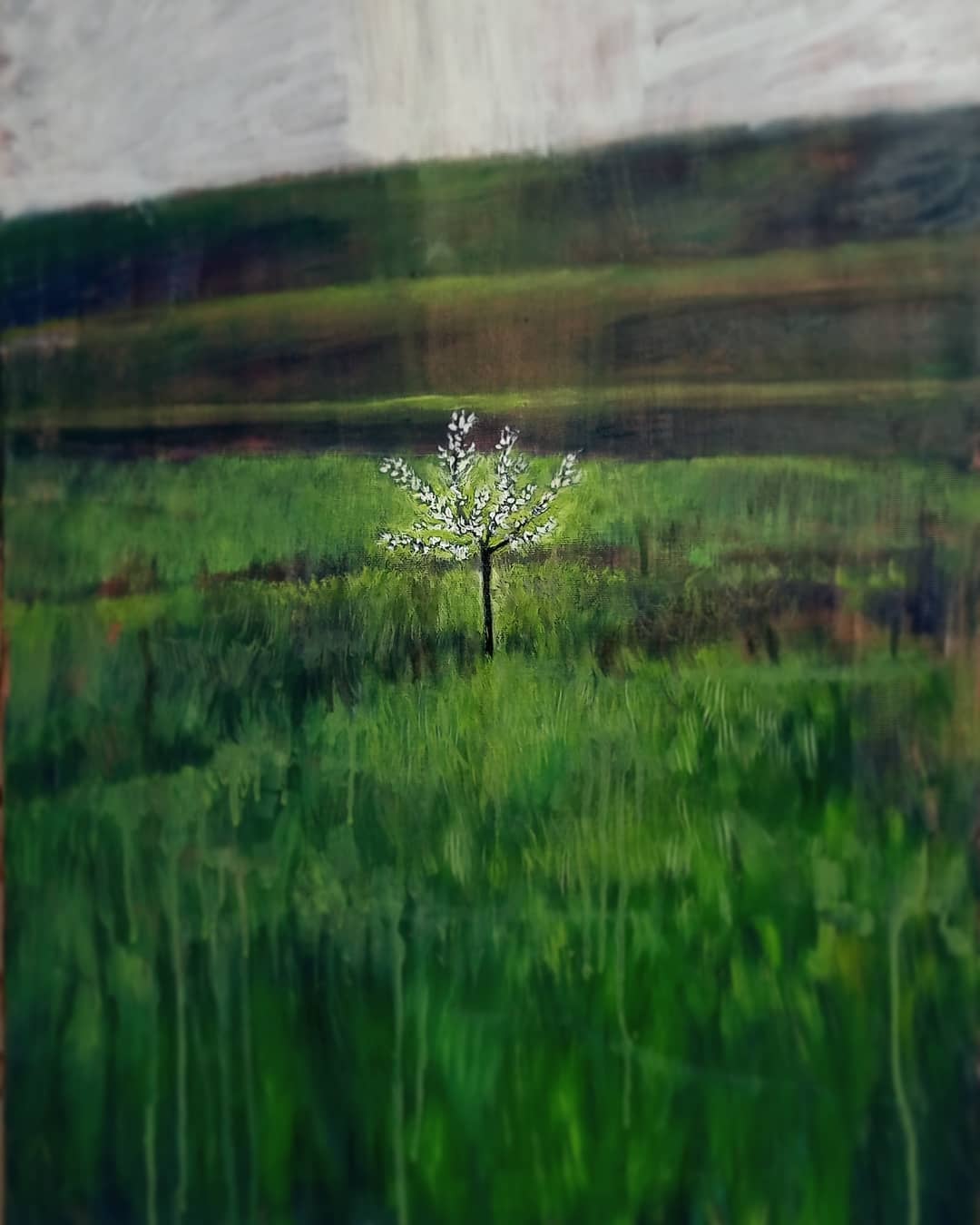 Splendido invisibile MauroTrolese