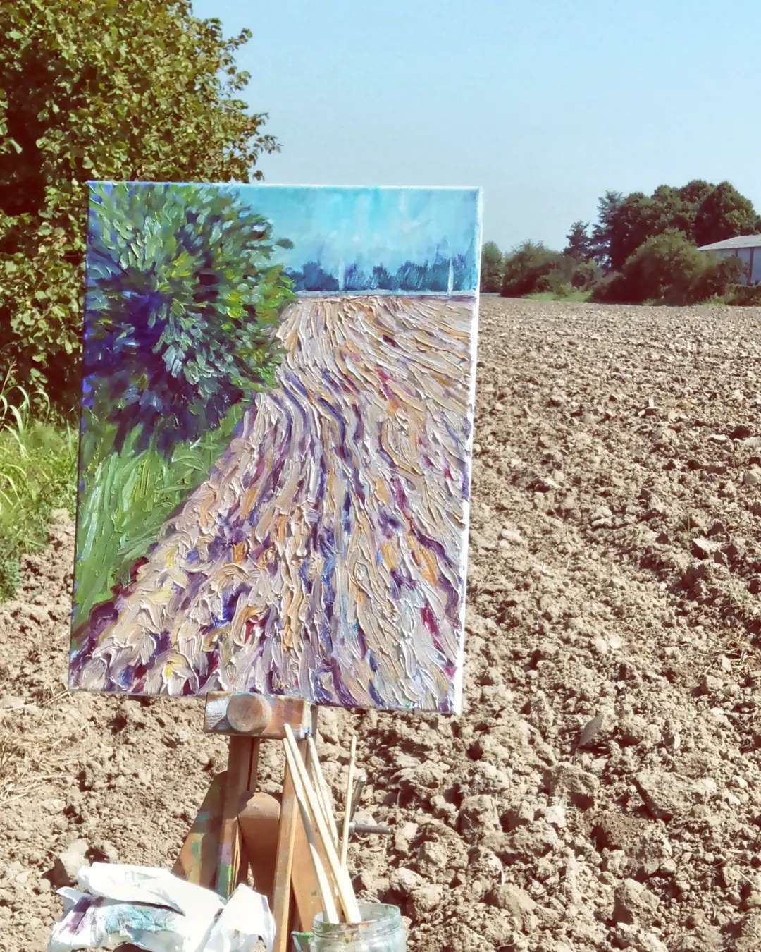 Terra d' agosto MauroTrolese