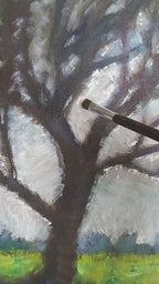 Grande quercia, luce appesa ai rami