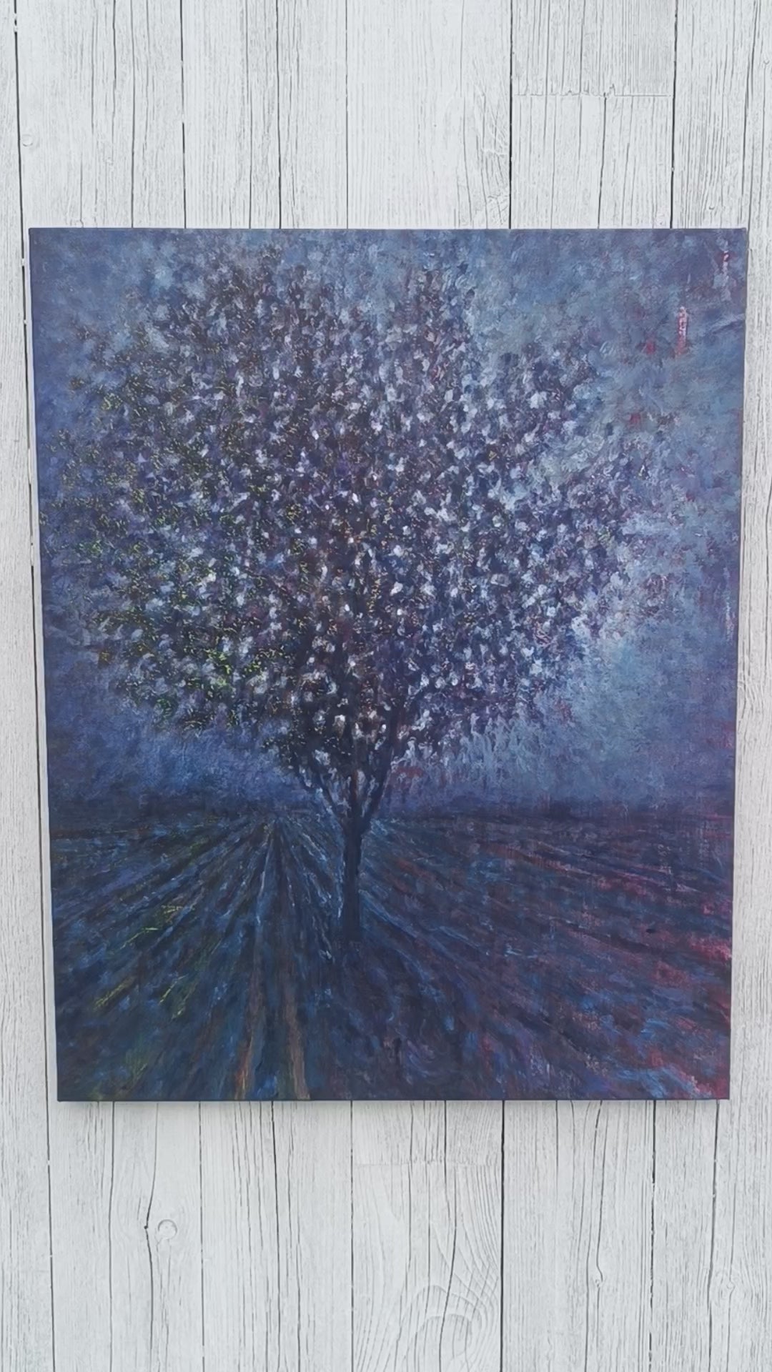 Notturno (luce appesa ai rami)