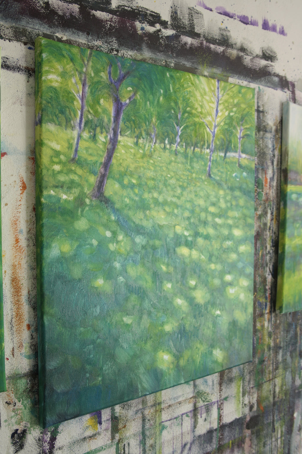 Luce che cammina sul prato IV