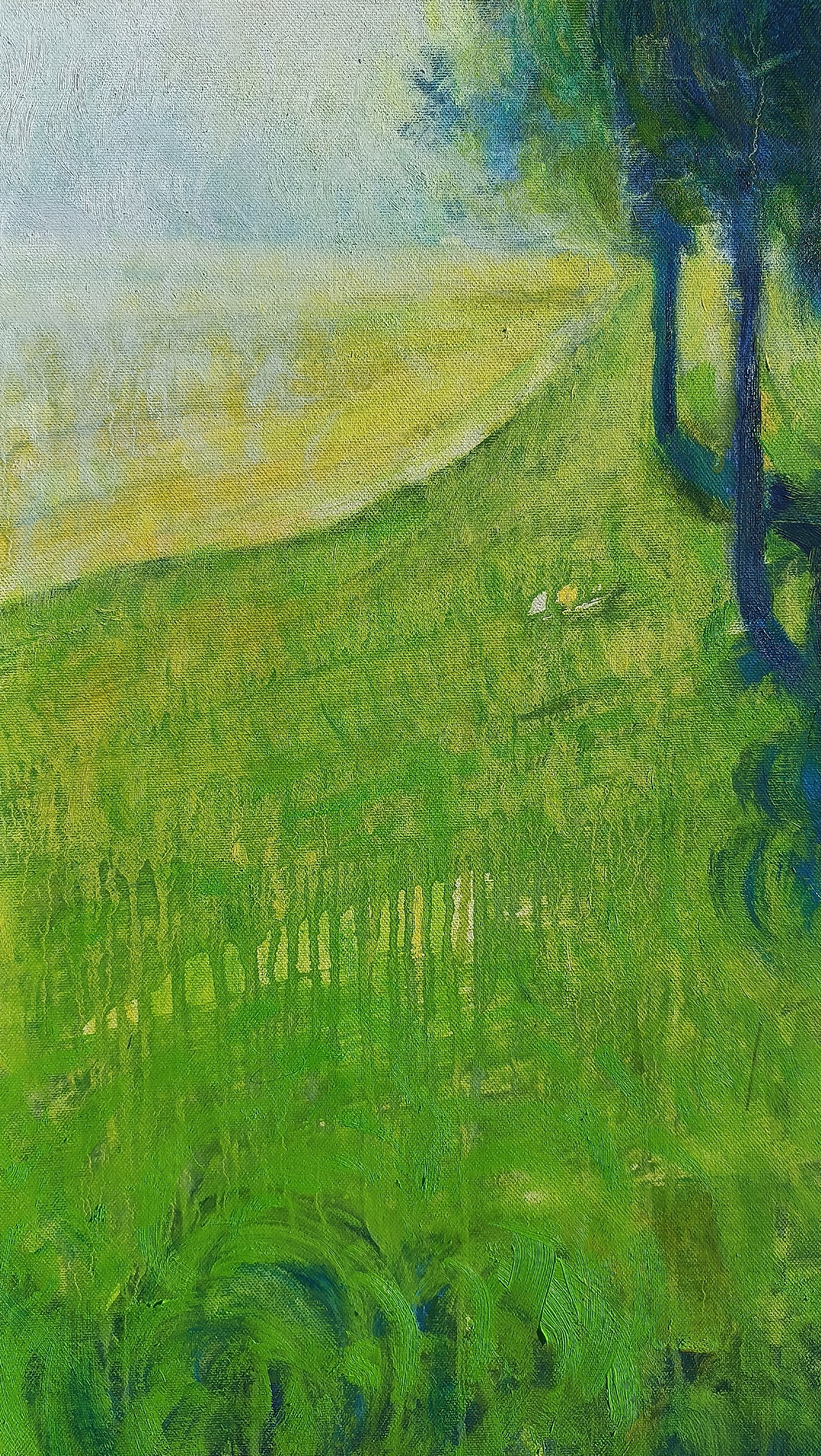 Controluce, solo luce esiste