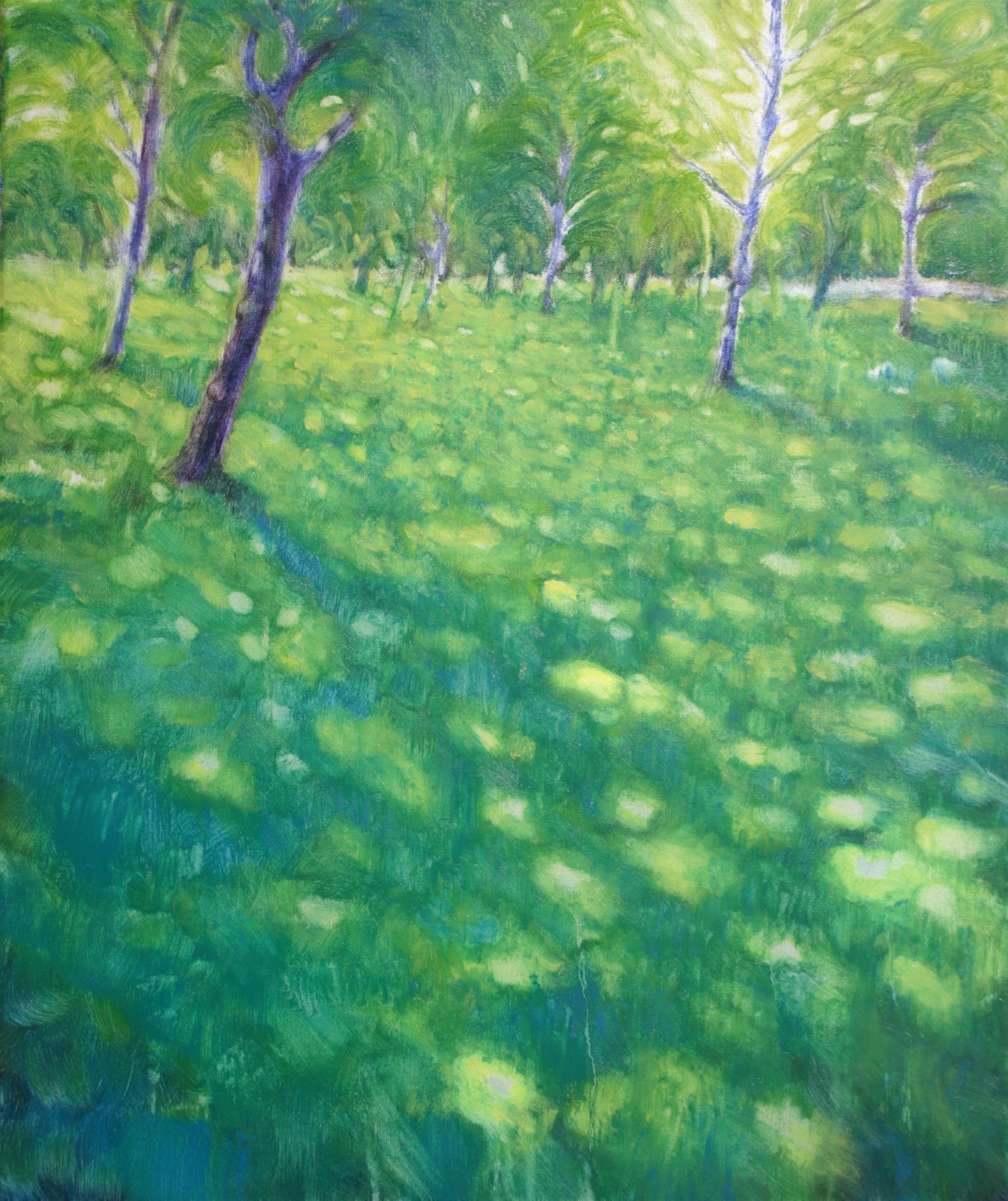 Luce che cammina sul prato IV