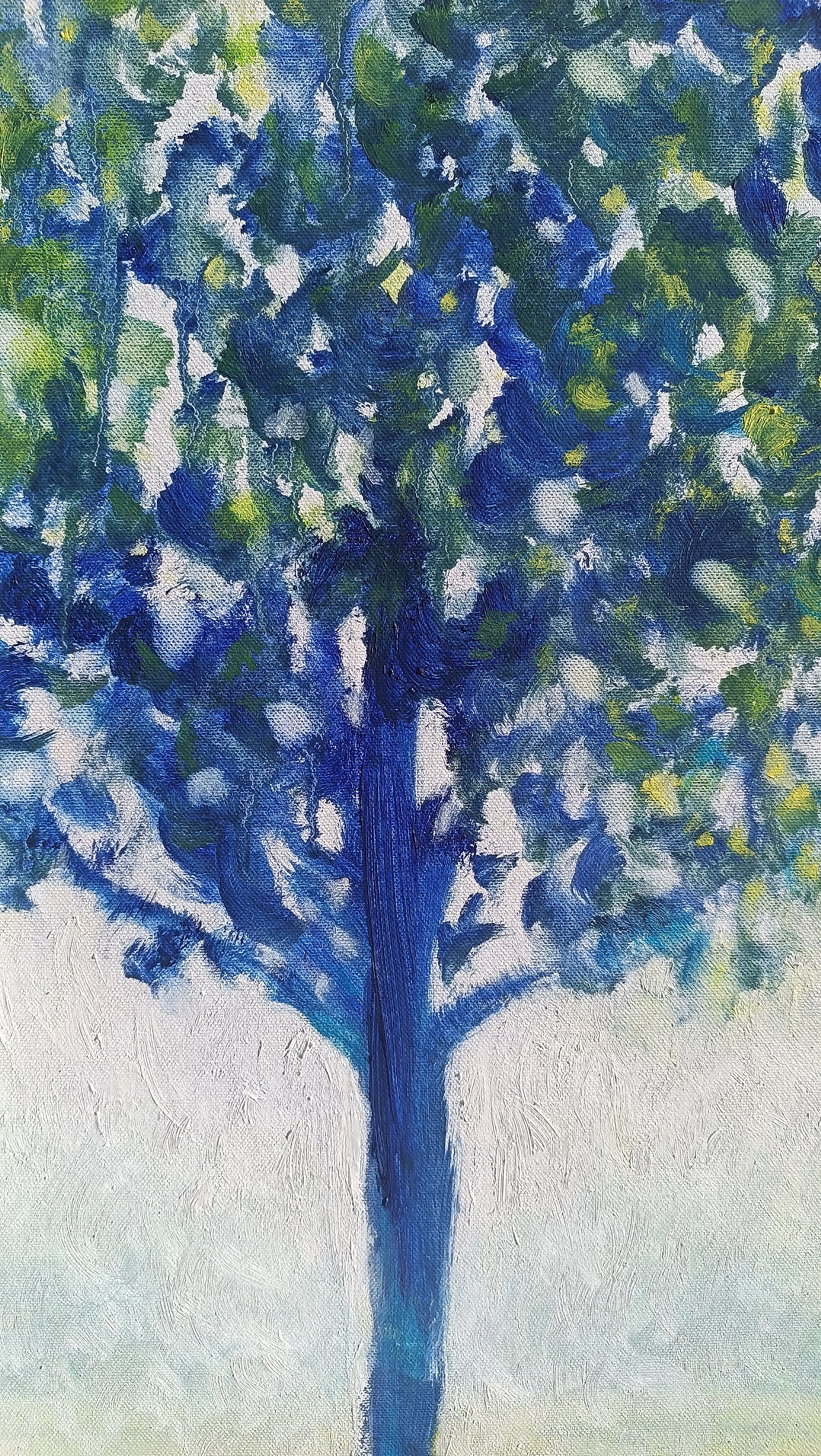 Controluce, solo luce esiste