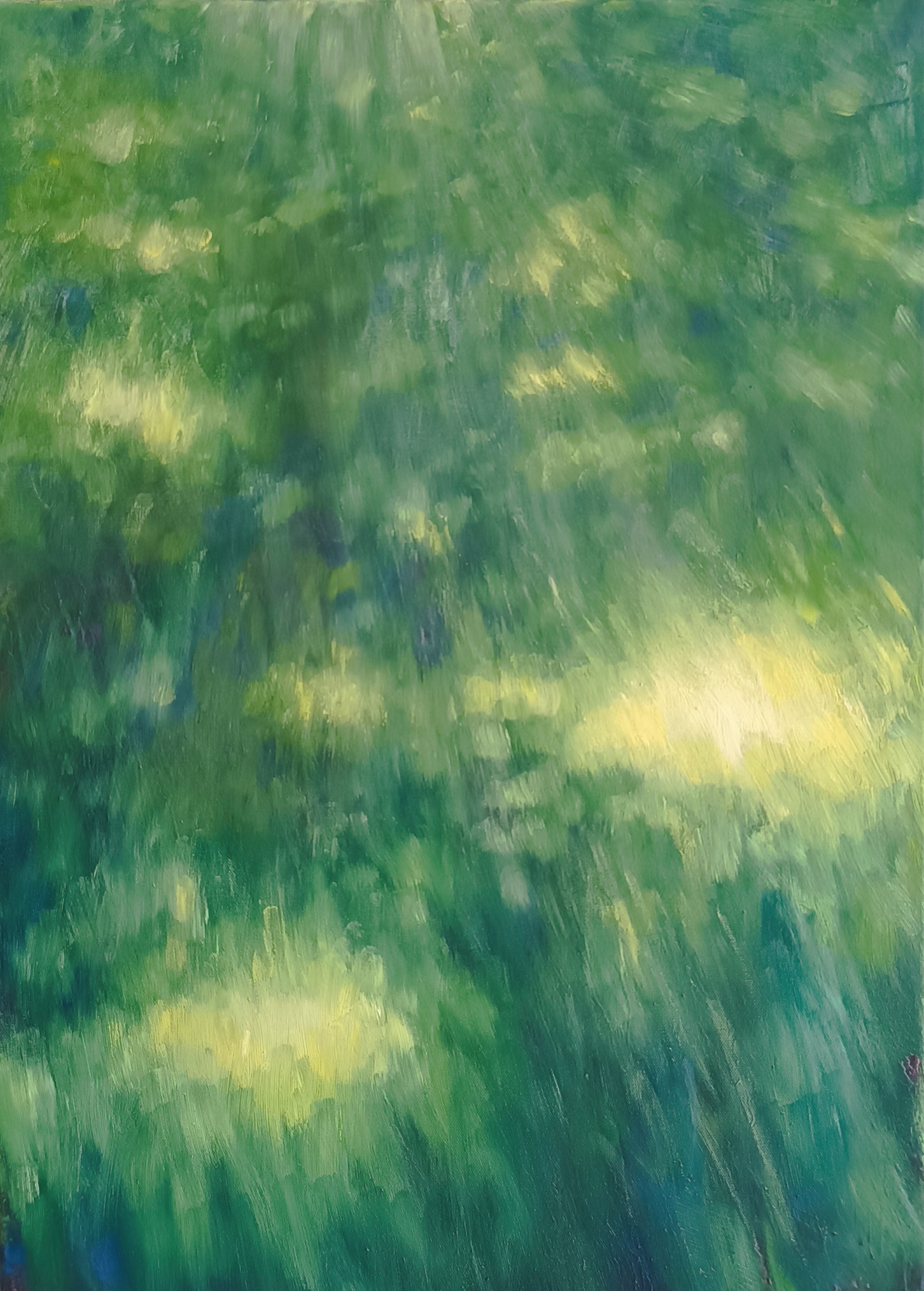 Luce che cammina sul prato V