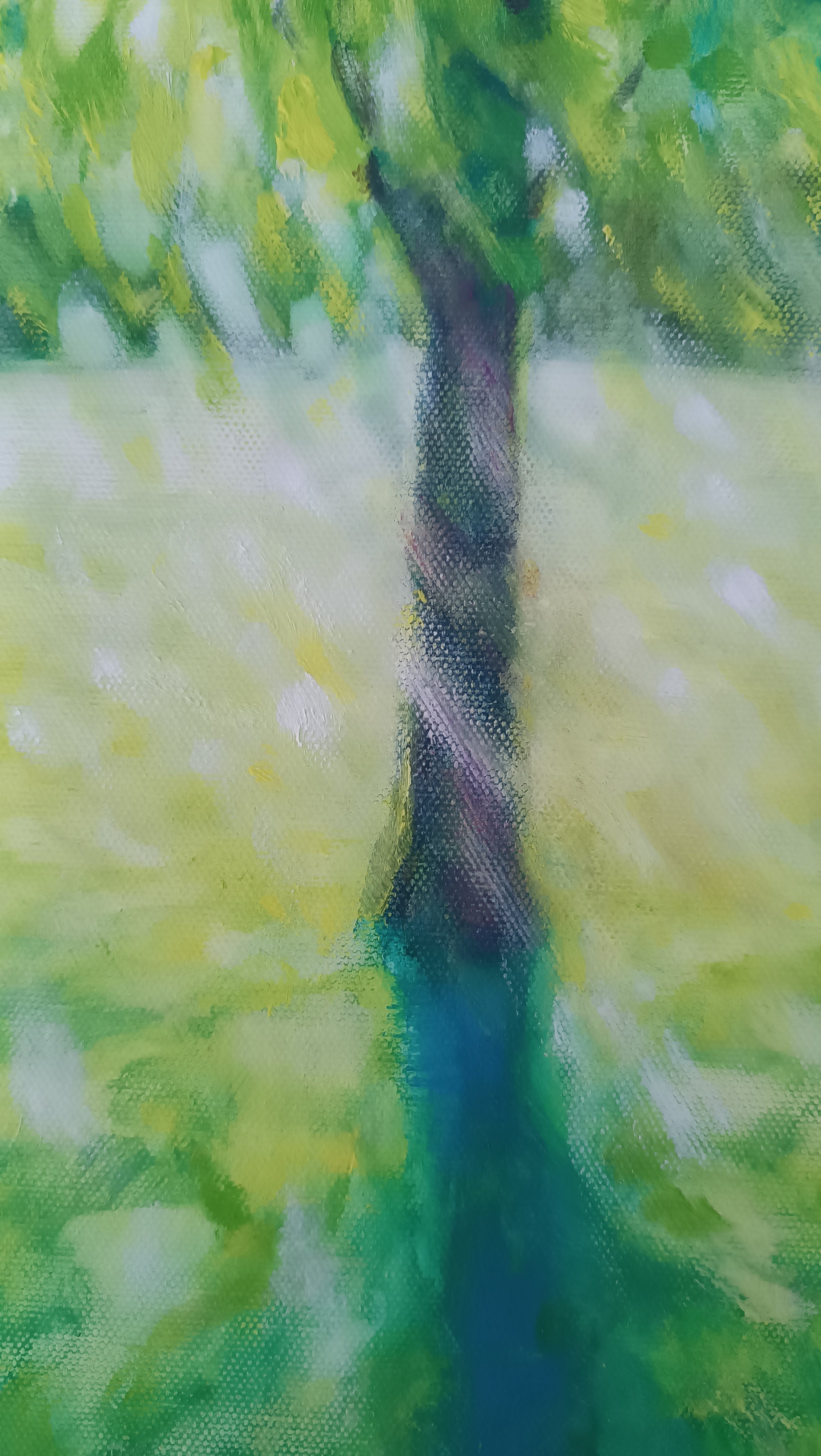 Luce che cammina sul prato III