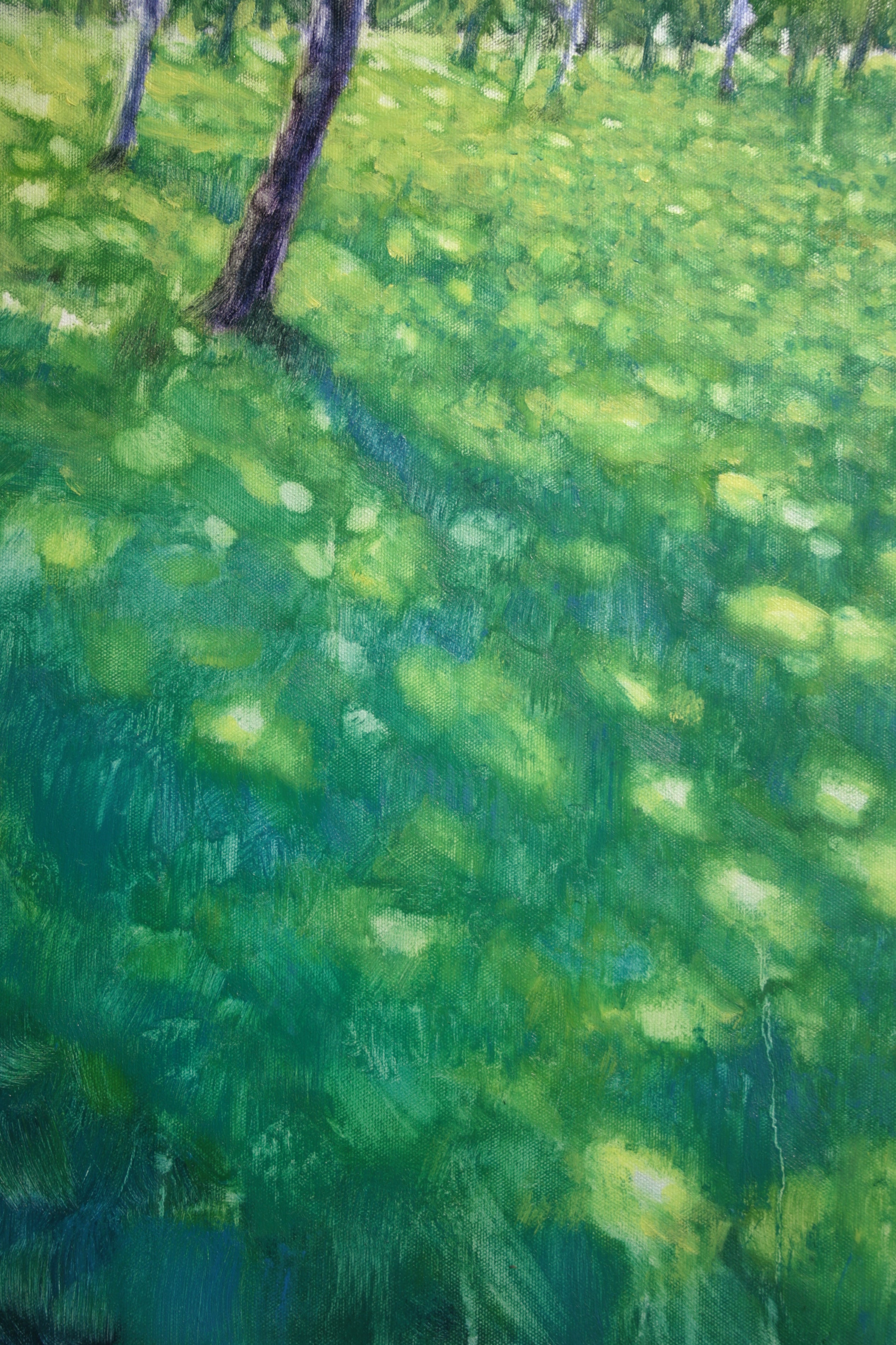 Luce che cammina sul prato IV