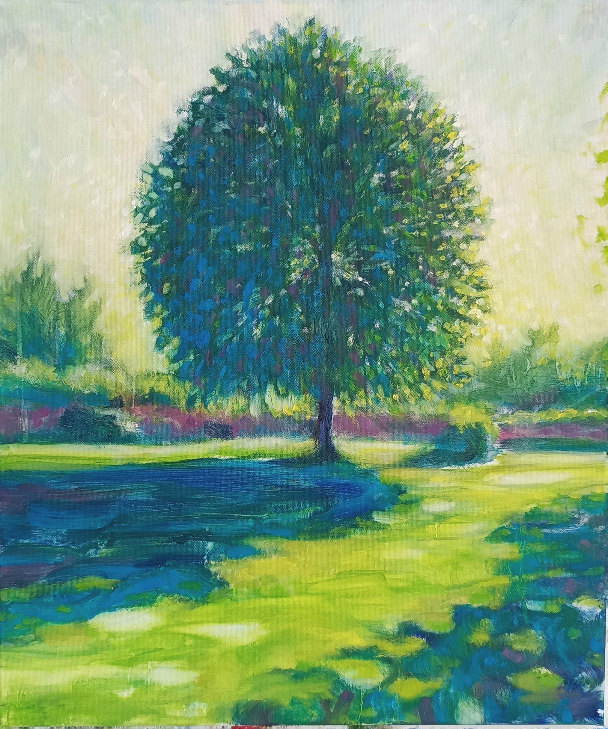 Luce che cammina sul prato II