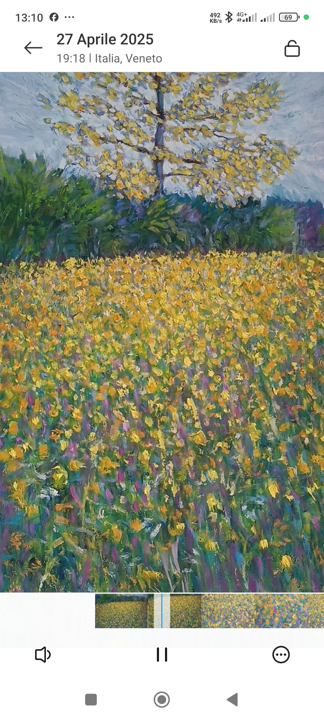 Prato in fiore