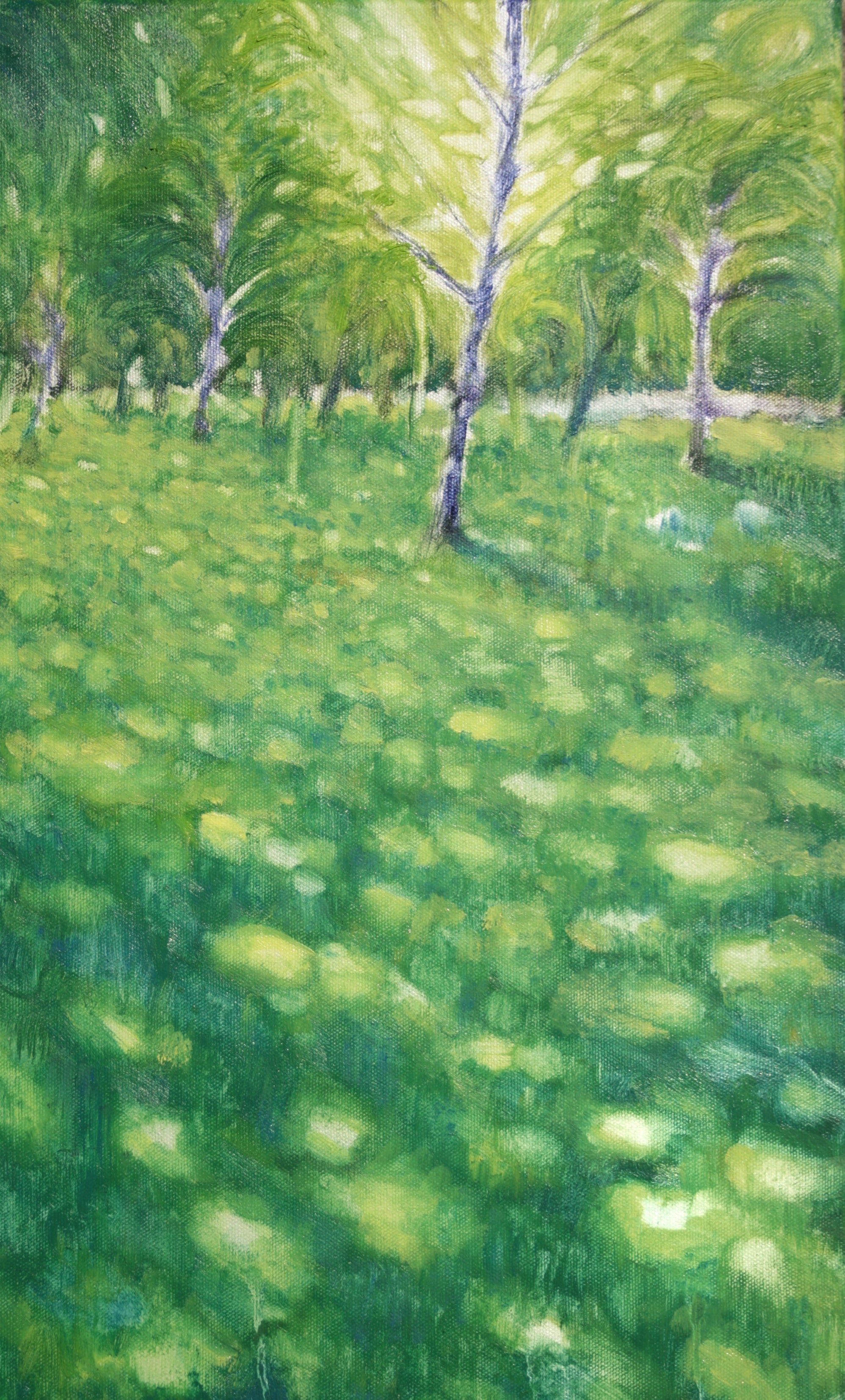 Luce che cammina sul prato IV