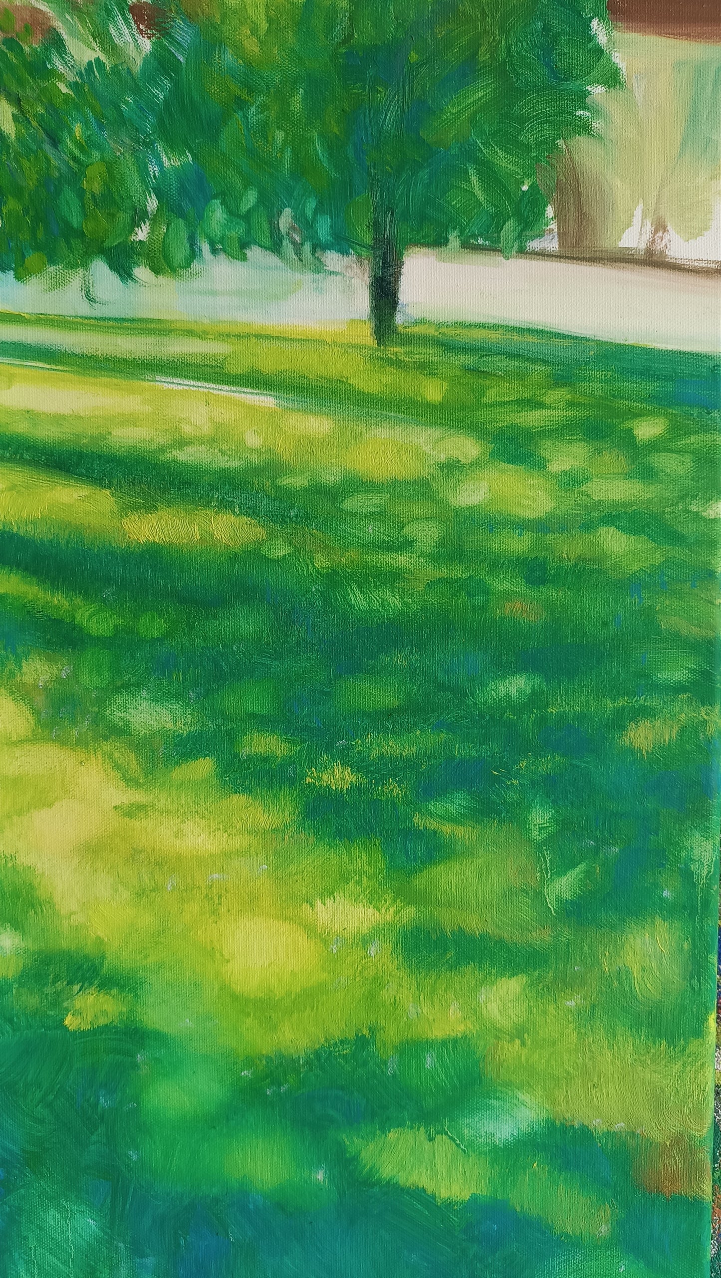 Luce che cammina sul prato