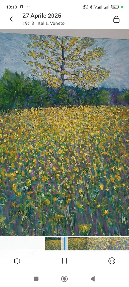 Prato in fiore