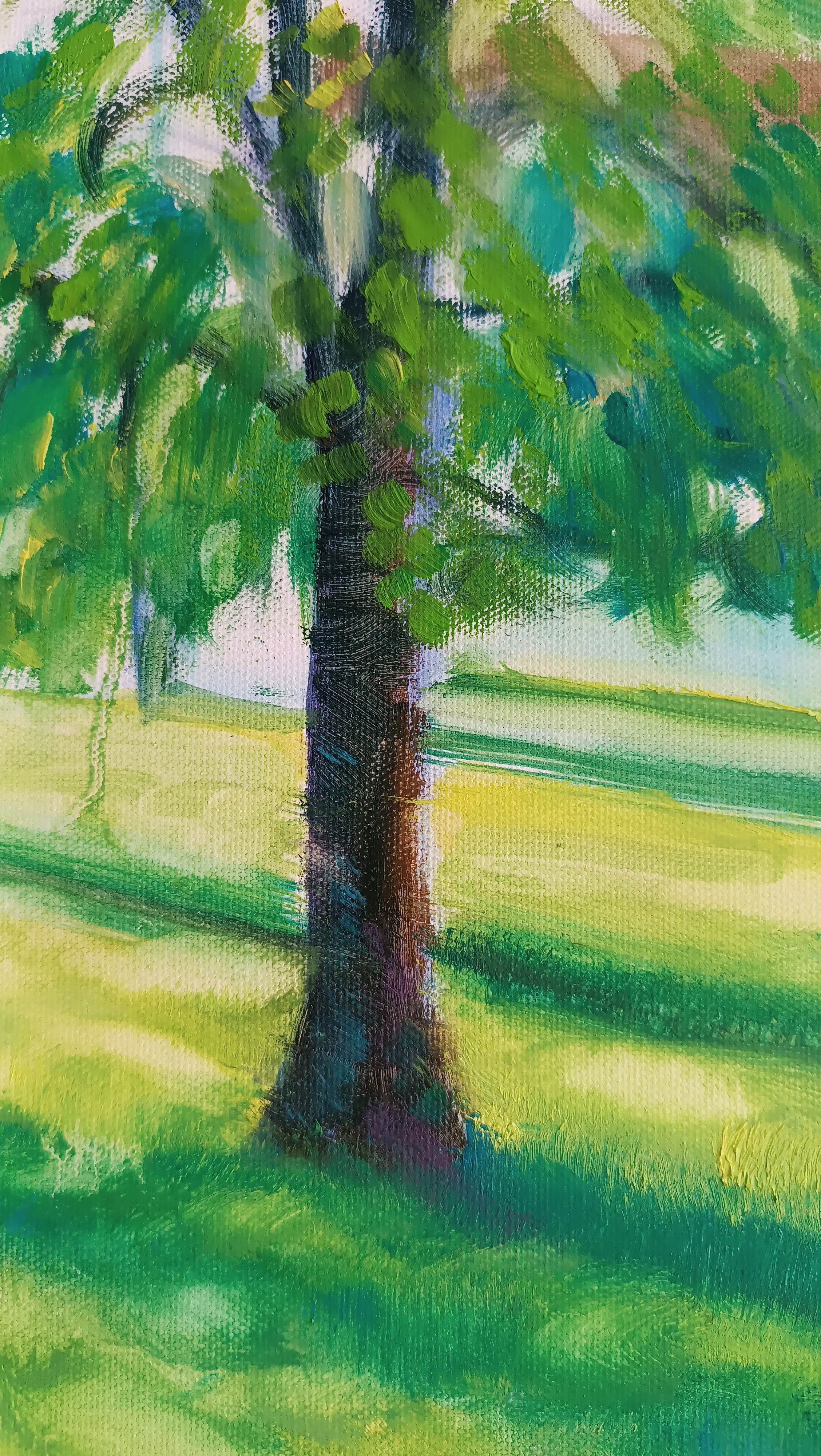 Luce che cammina sul prato