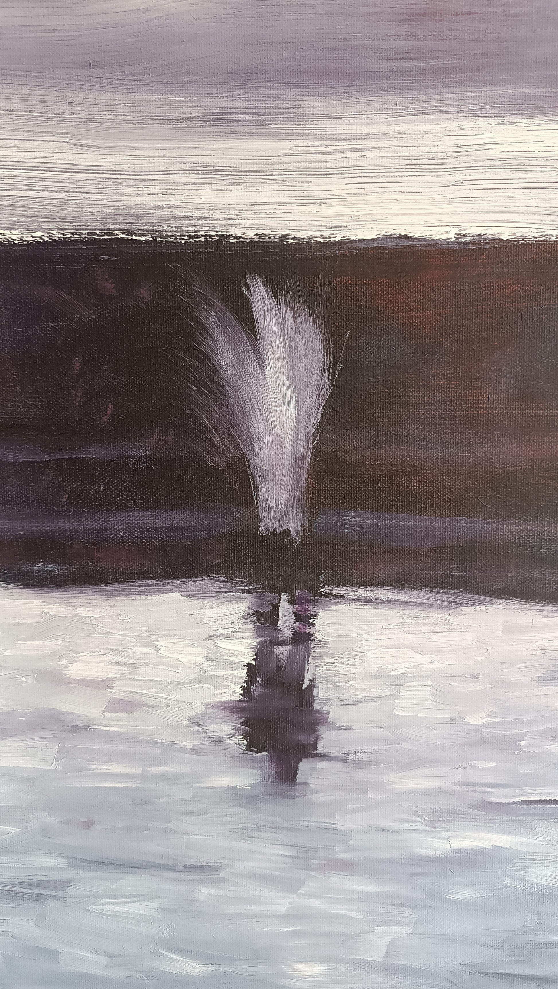 Cupio dissolvi - in the mirror -