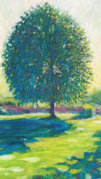 Luce che cammina sul prato II